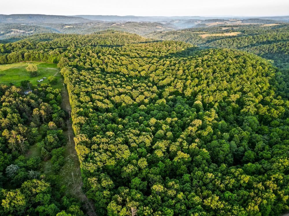 Big Flat, Stone County, AR Recreational Property, Timberland Property
