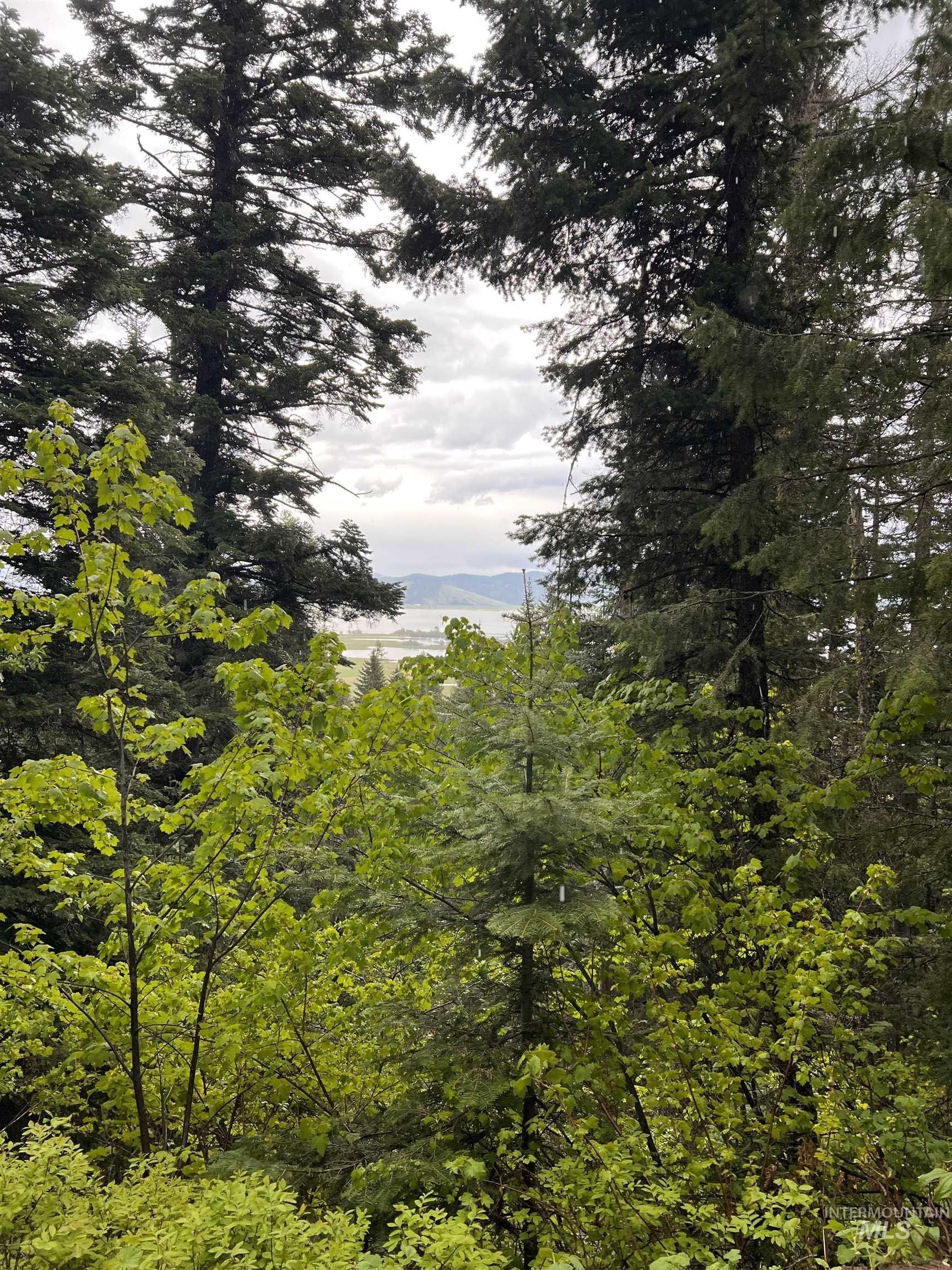 Cascade, Valley County, ID Undeveloped Land, Homesites for sale