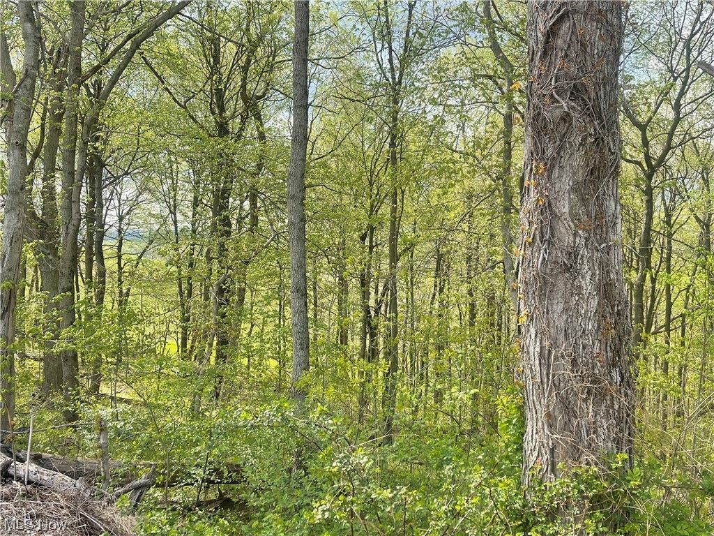 Dresden, Muskingum County, OH Undeveloped Land for sale Property ID