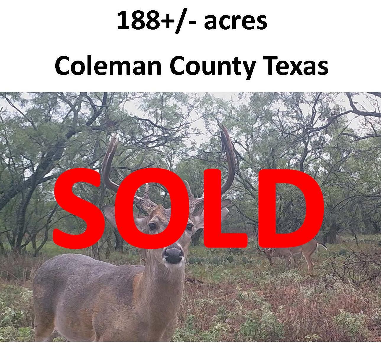 Talpa, Coleman County, TX Farms and Ranches for sale Property ID