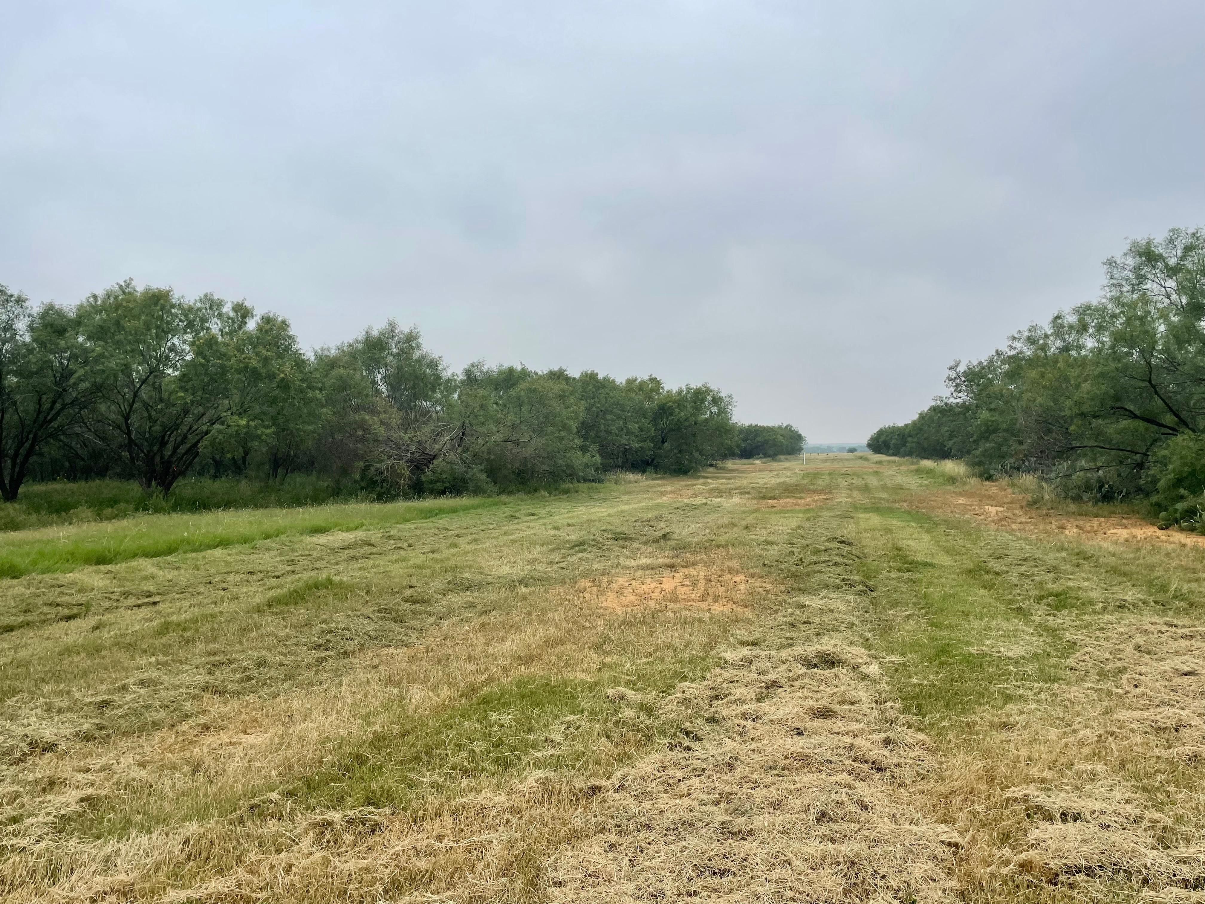 Charlotte, Atascosa County, TX Farms and Ranches, Recreational Property