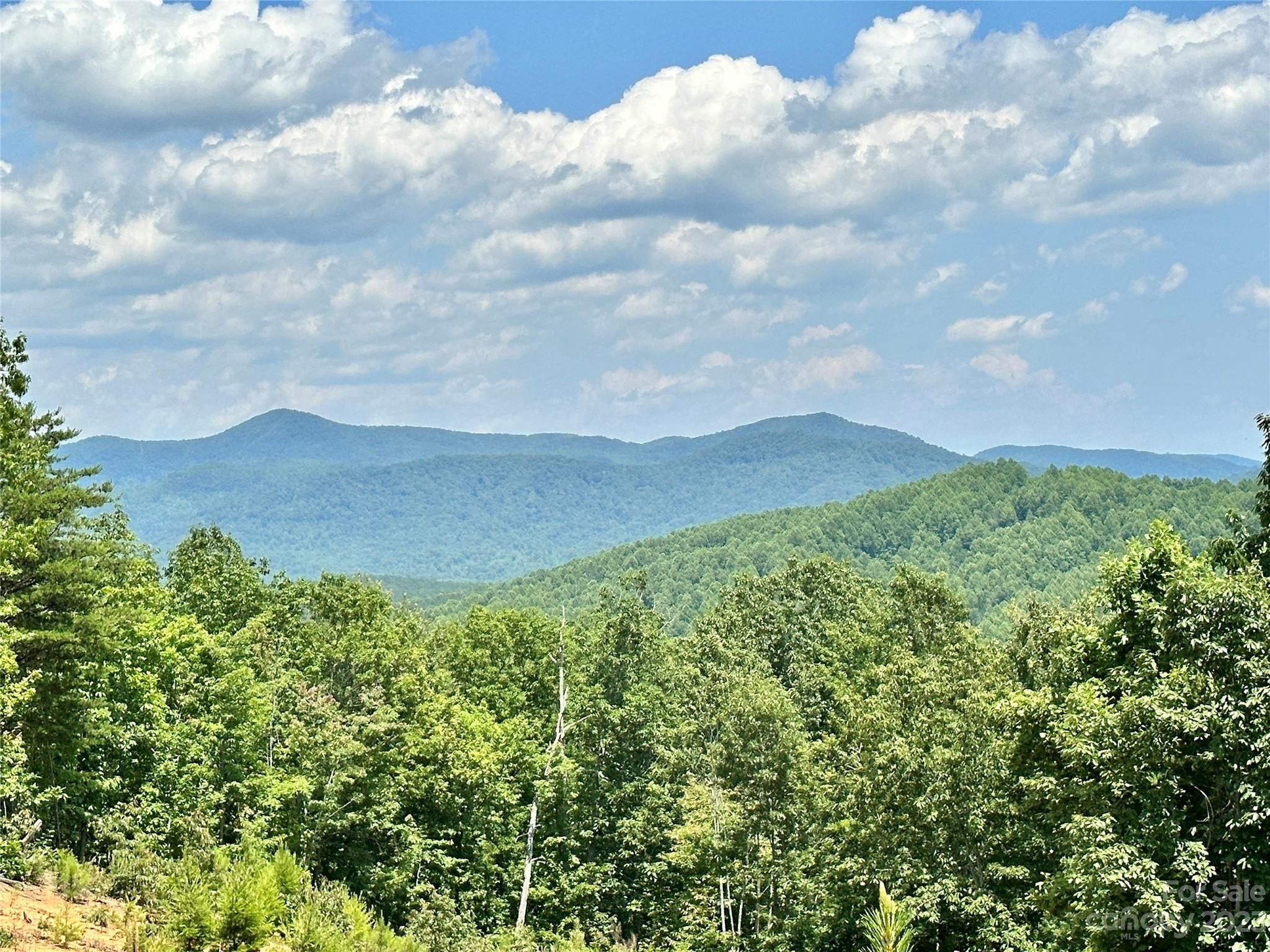 Nebo, McDowell County, NC Farms and Ranches, Homesites for sale