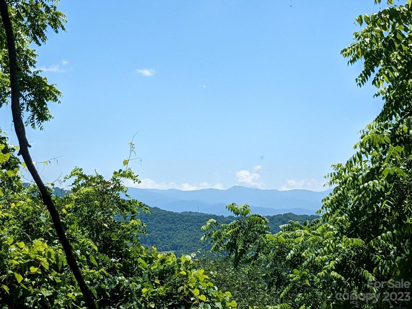 Marshall, Madison County, NC Farms and Ranches for sale Property ID