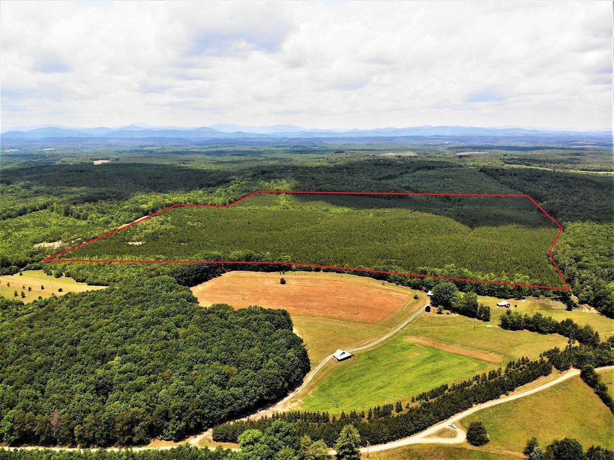 Howardsville, Buckingham County, VA Recreational Property, Hunting