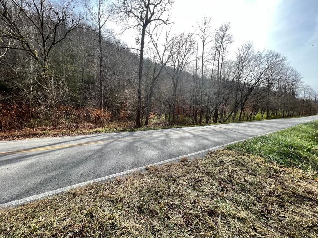 Robinson Creek, Pike County, KY Undeveloped Land for sale Property ID