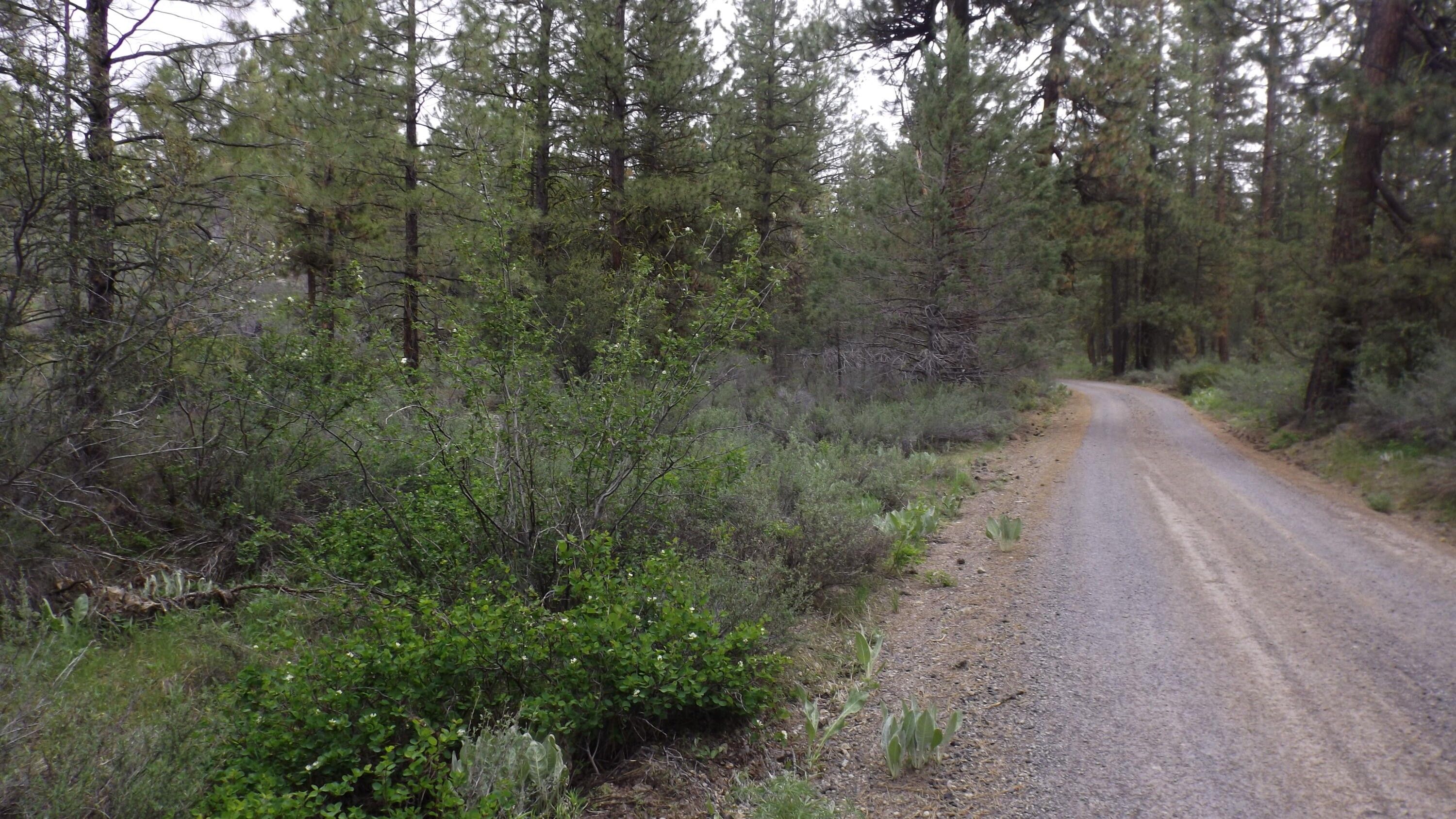 Bonanza, Klamath County, OR Undeveloped Land, Homesites for sale