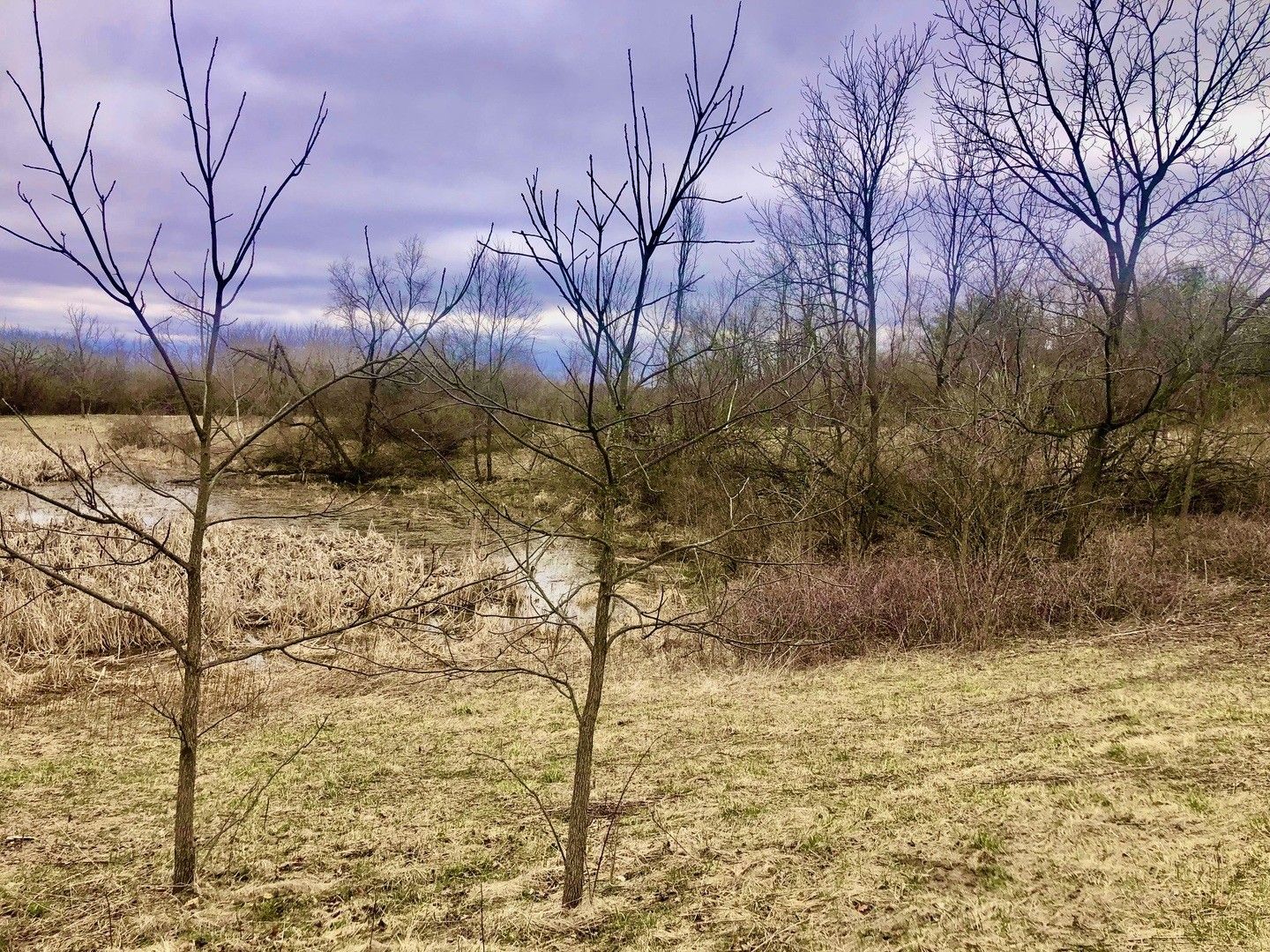 Marengo, McHenry County, IL Farms and Ranches for sale Property ID