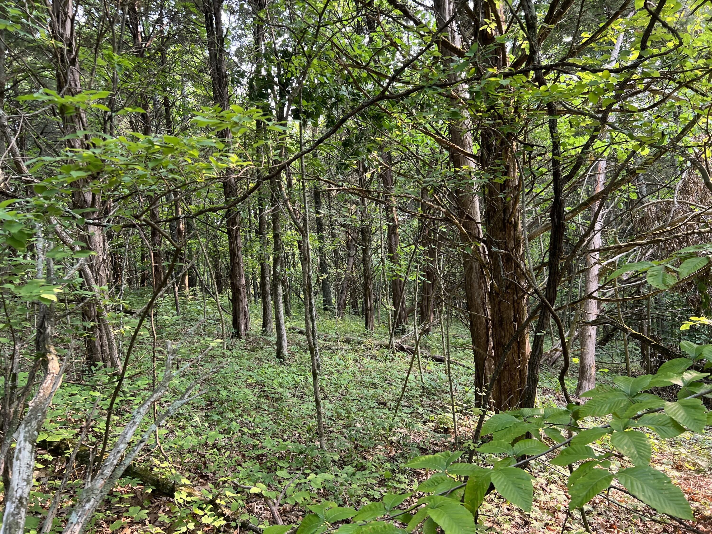 Frankfort, Franklin County, KY Farms and Ranches for sale Property ID