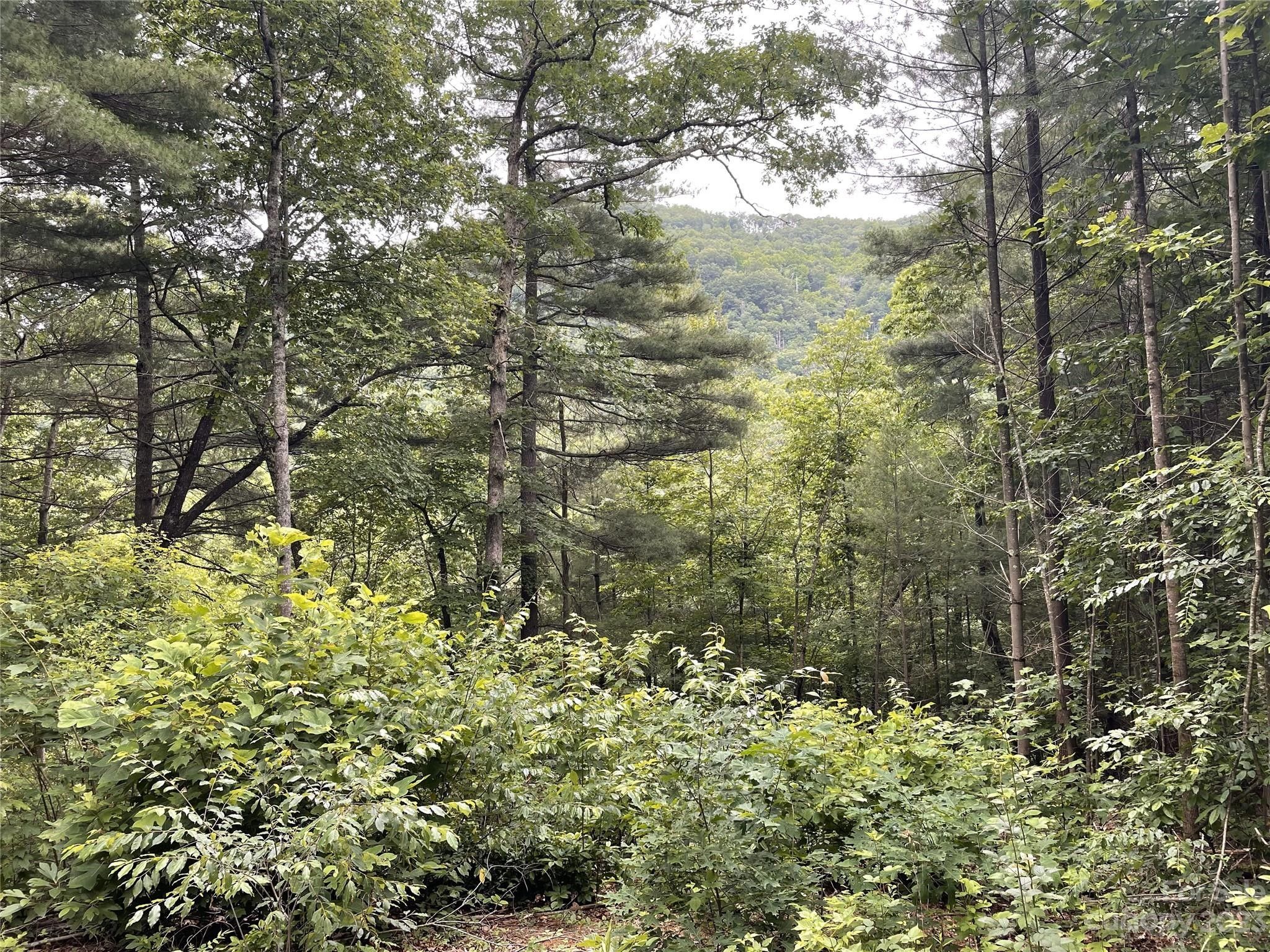 Hendersonville, Henderson County, NC Farms and Ranches, Homesites for