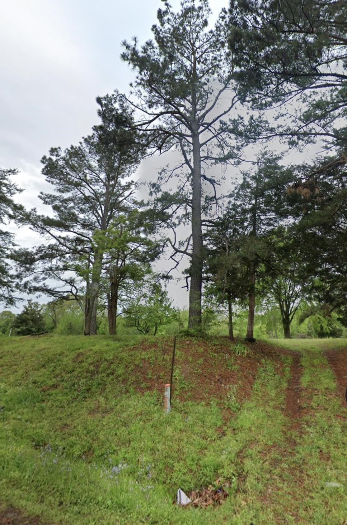 Moscow, Fayette County, TN Undeveloped Land for sale Property ID