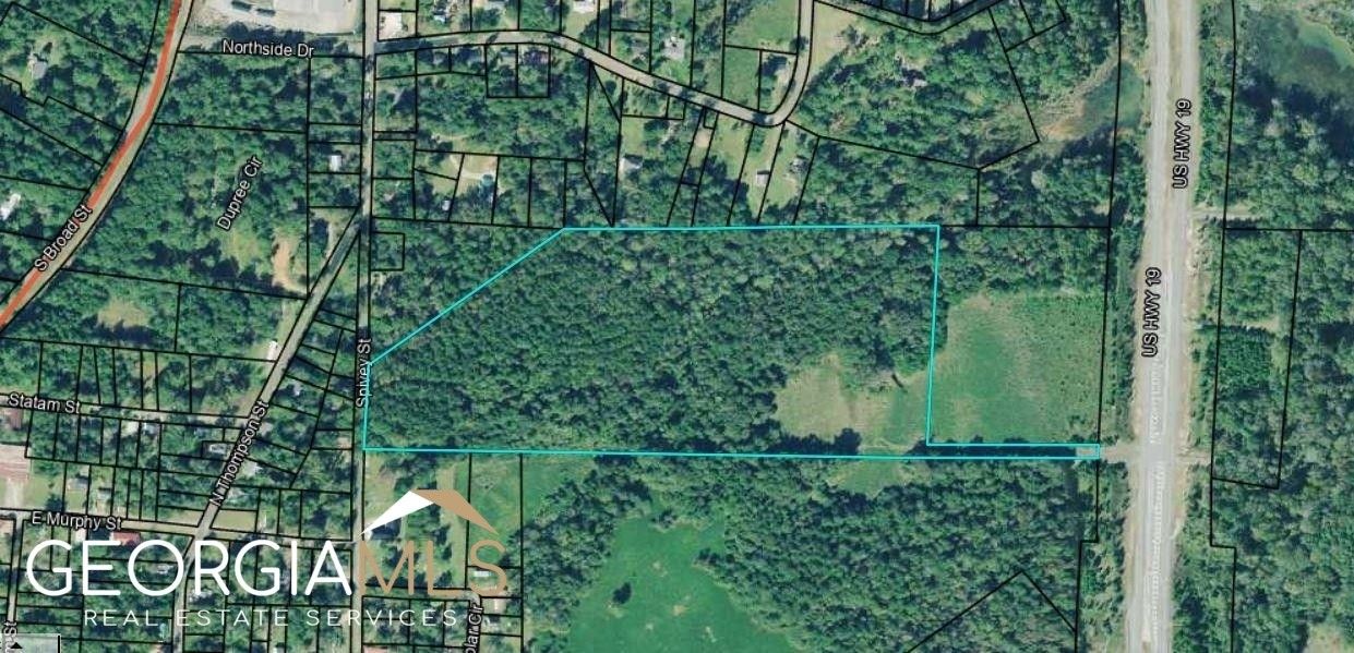 Ellaville, Schley County, GA Undeveloped Land for sale Property ID