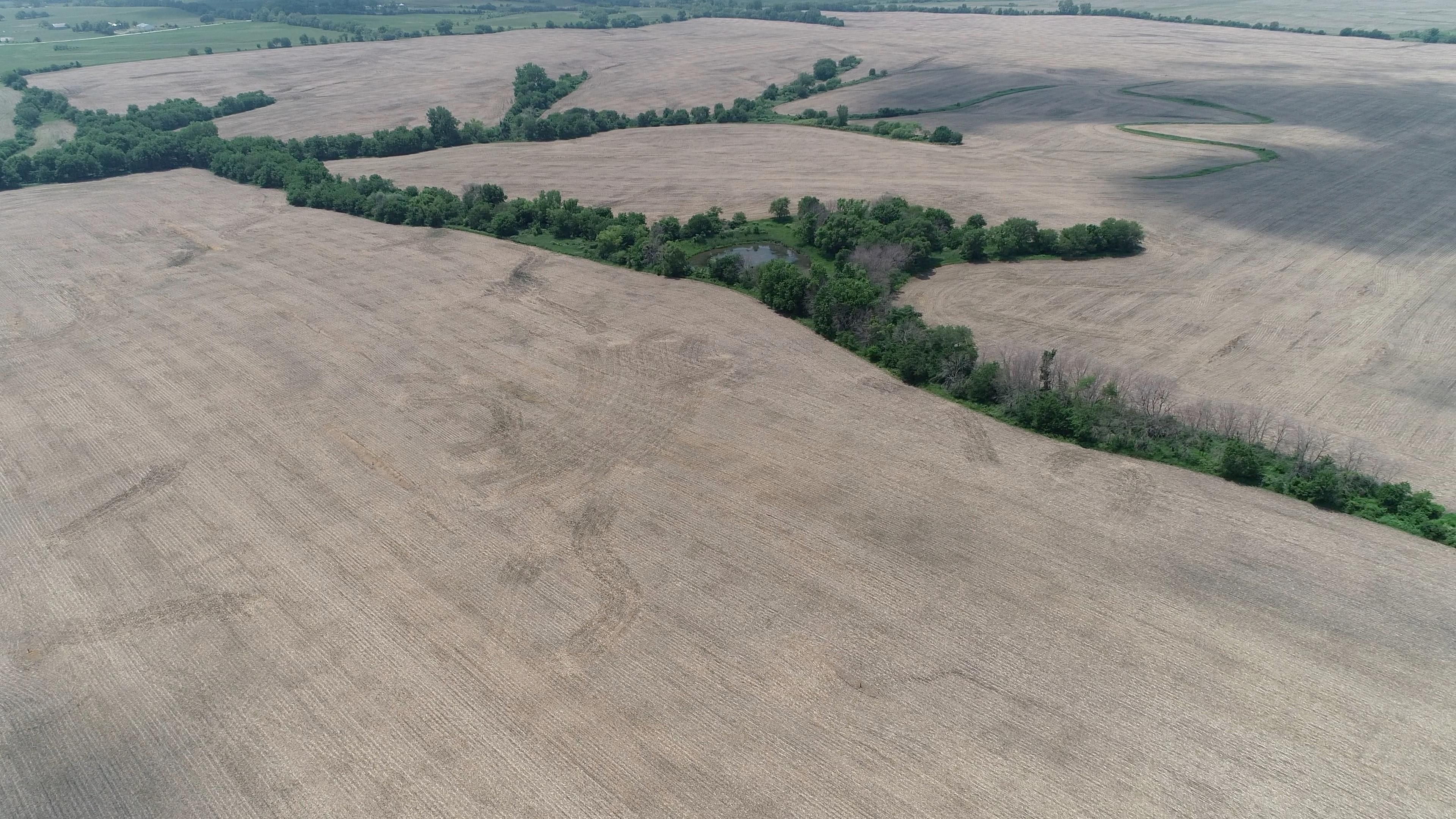Clearfield, Taylor County, IA Farms and Ranches, Undeveloped Land for sale Property ID