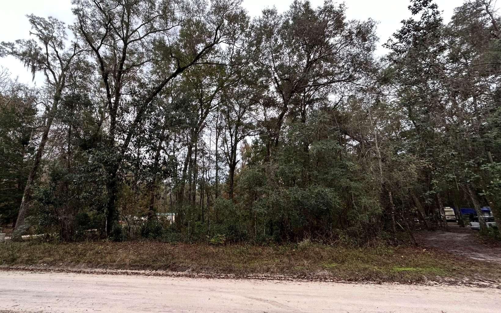 Branford, Suwannee County, FL Homesites for sale Property ID 416403992