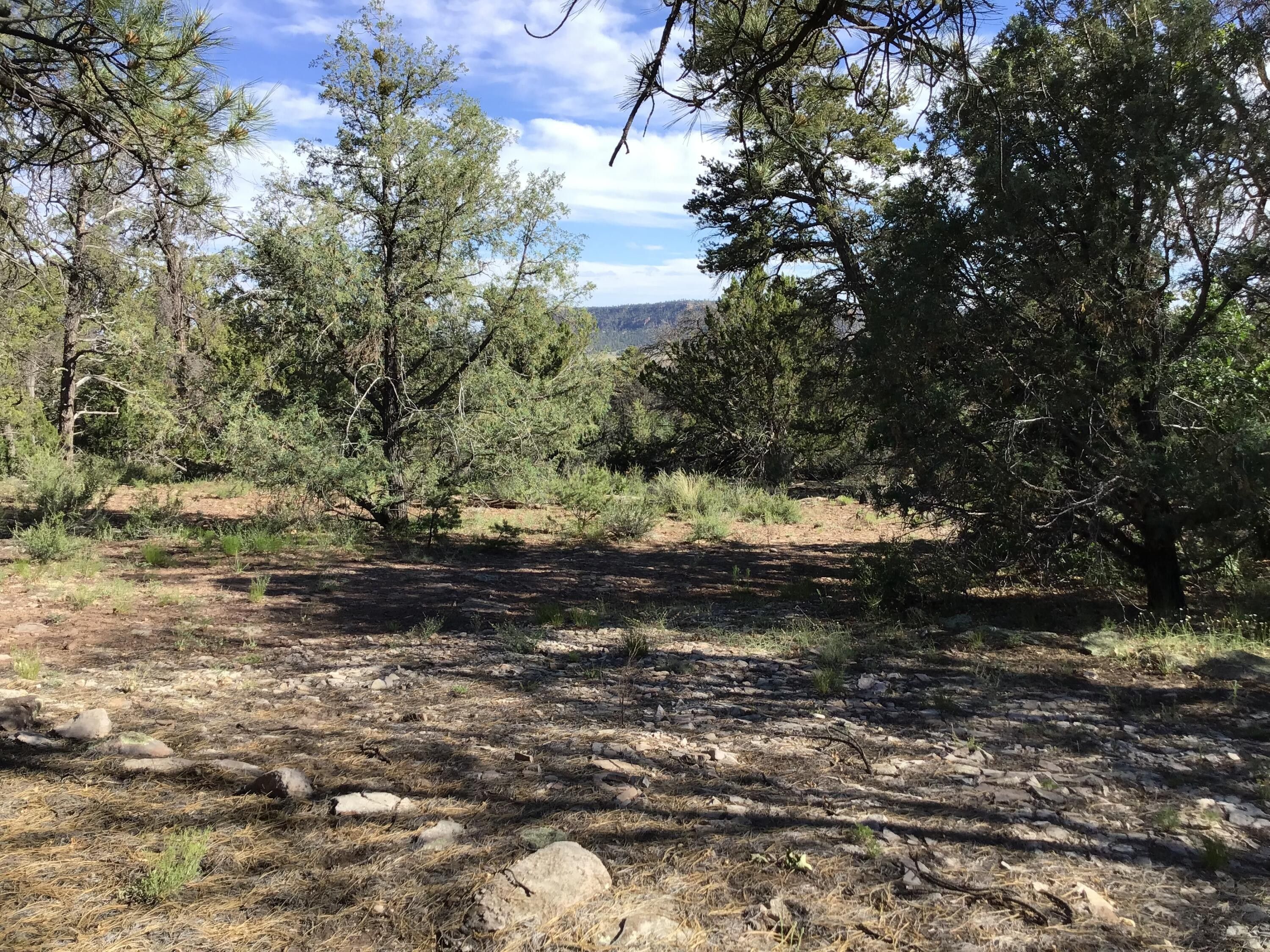 Ramah, McKinley County, NM Farms and Ranches for sale Property ID 416716730 LandWatch