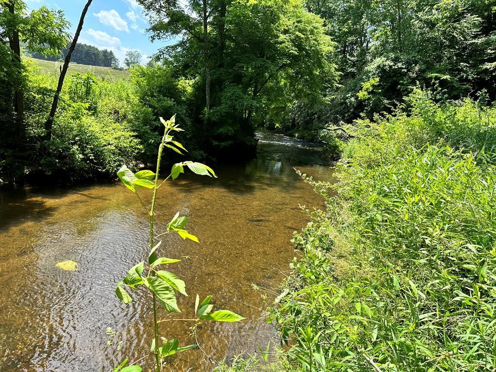 Laurel Fork, Carroll County, VA Farms and Ranches, Lakefront Property