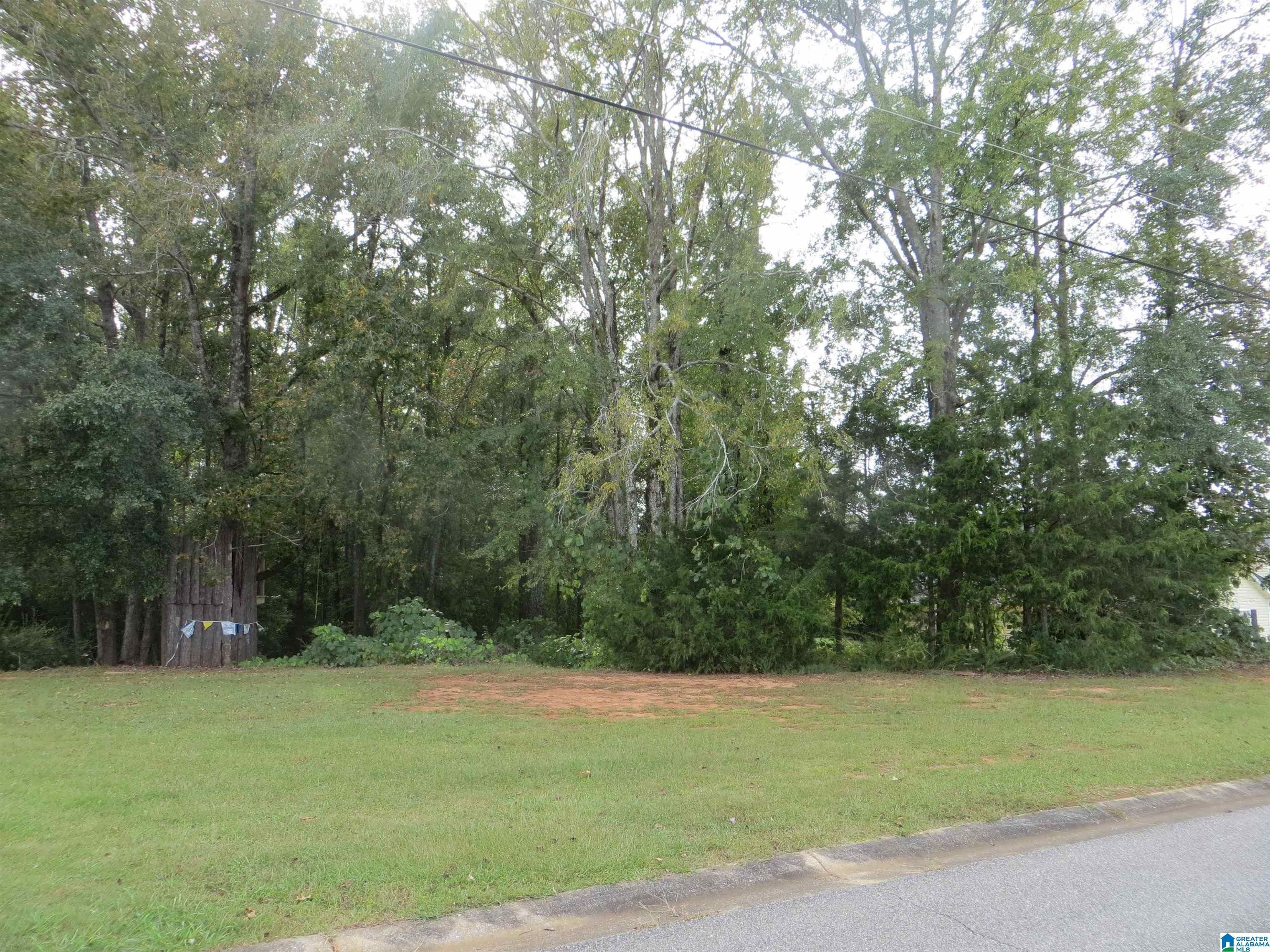 Alexandria, Calhoun County, AL Undeveloped Land, Homesites for sale