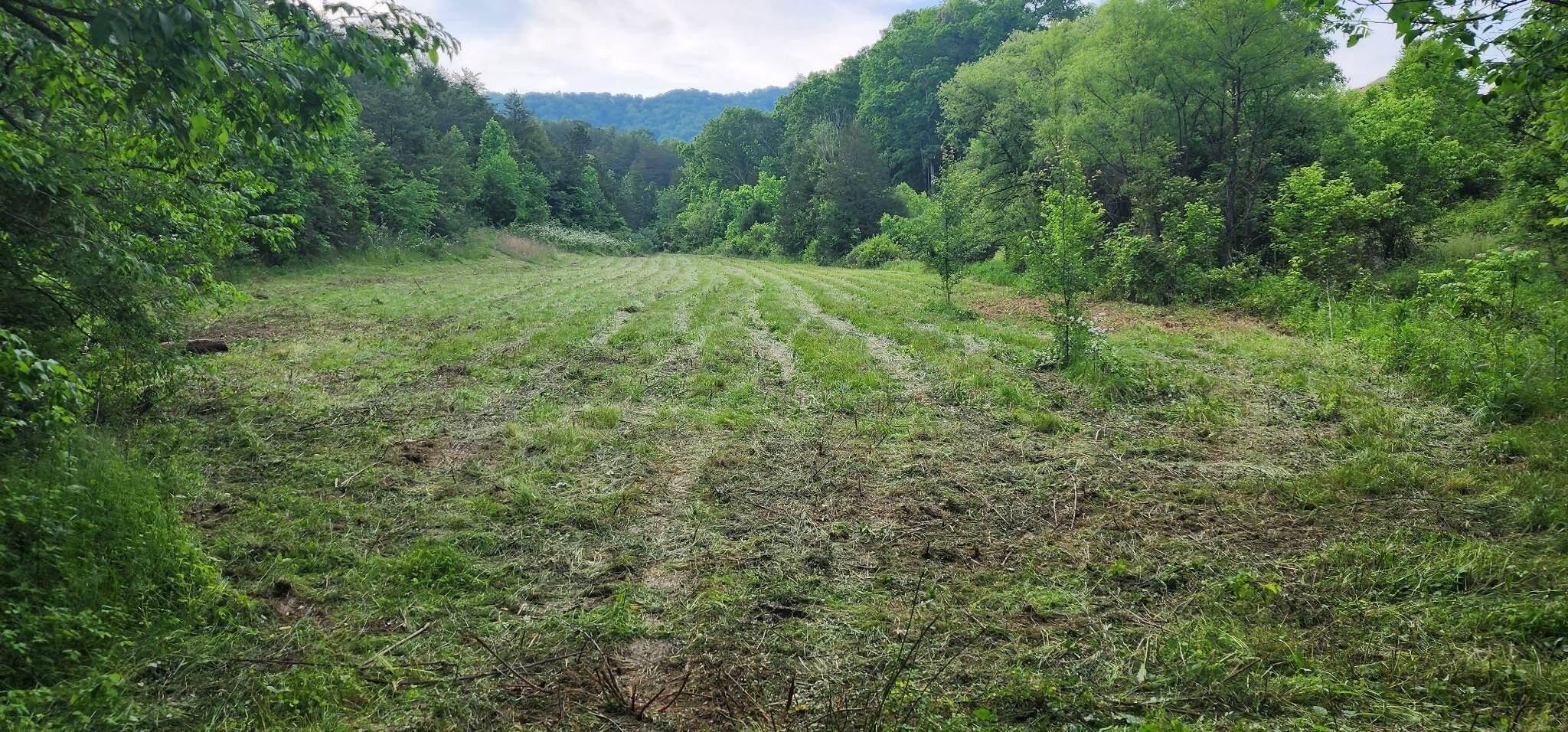 Kingsport, Sullivan County, TN Undeveloped Land for sale Property ID