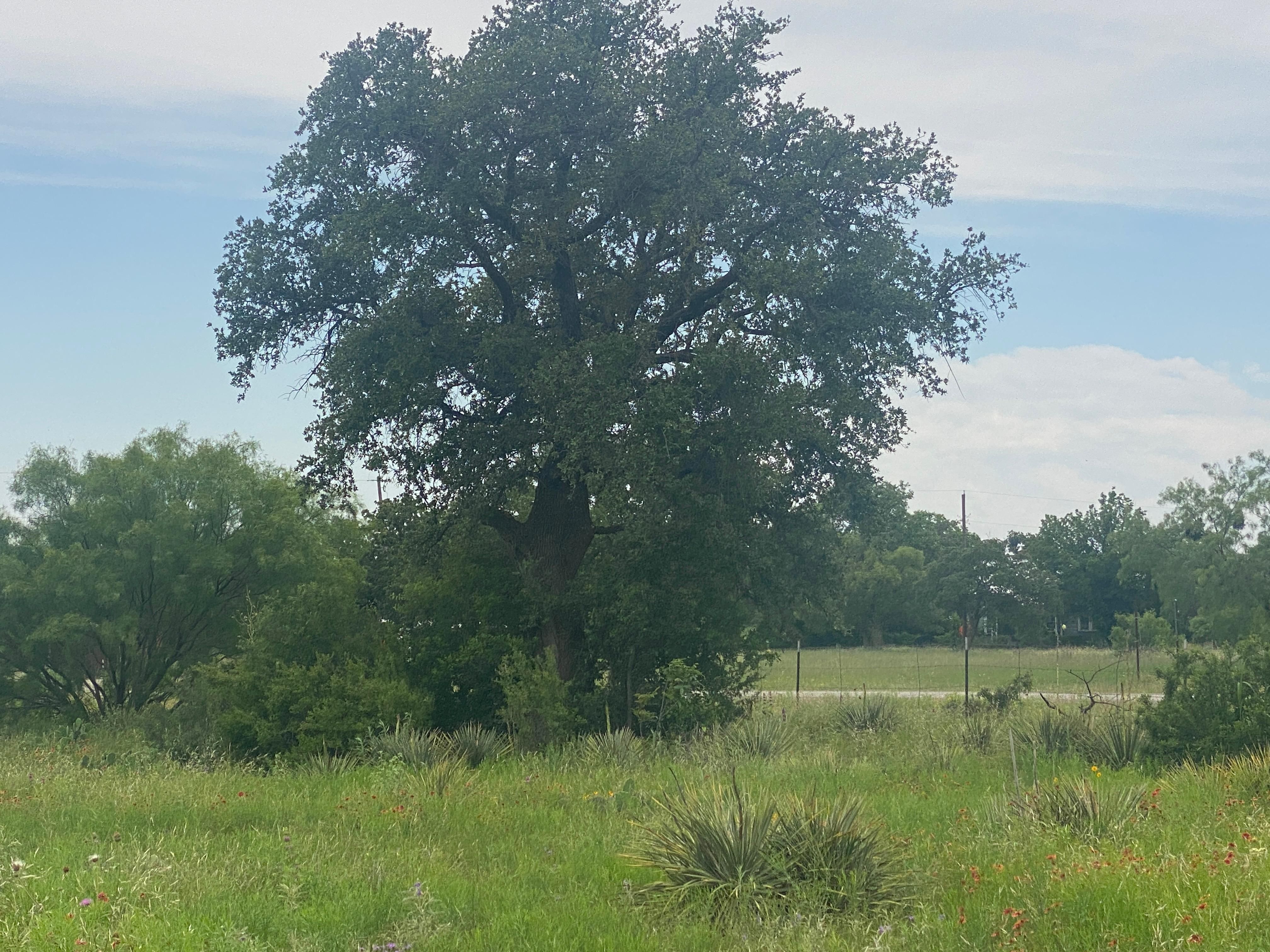 Burkett, Coleman County, TX Farms and Ranches, Recreational Property