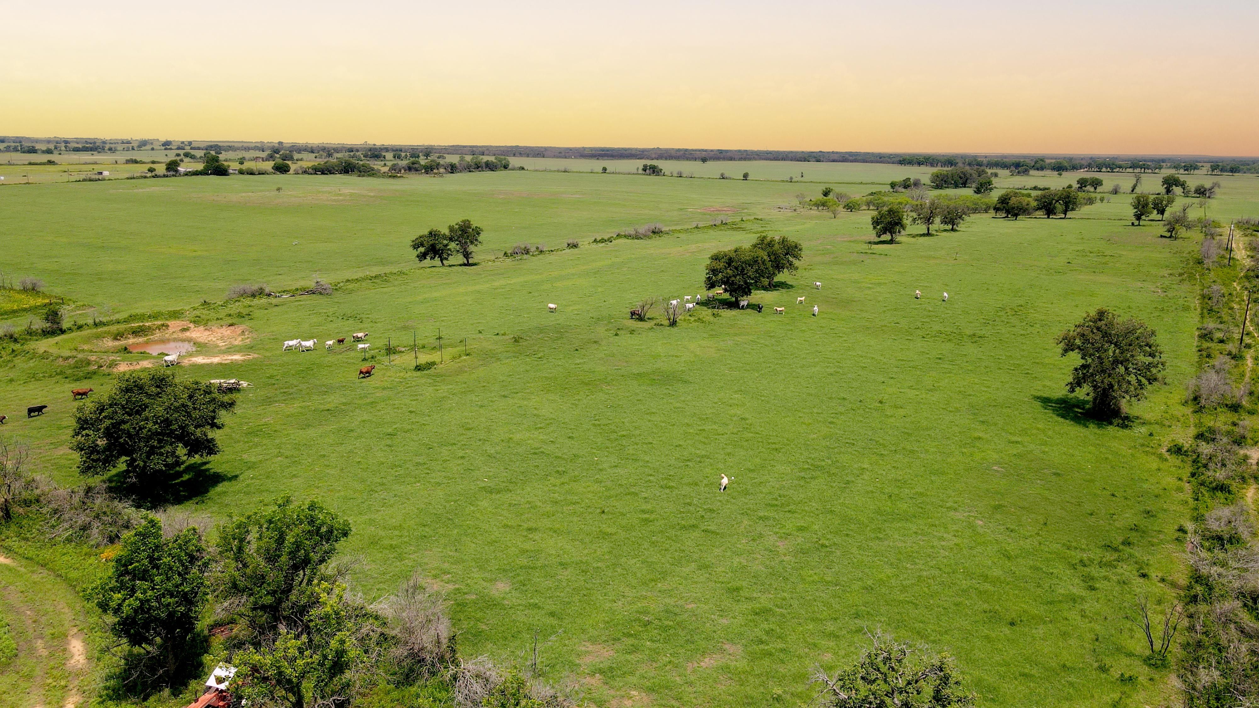 Gorman, Eastland County, TX Farms and Ranches, Recreational Property