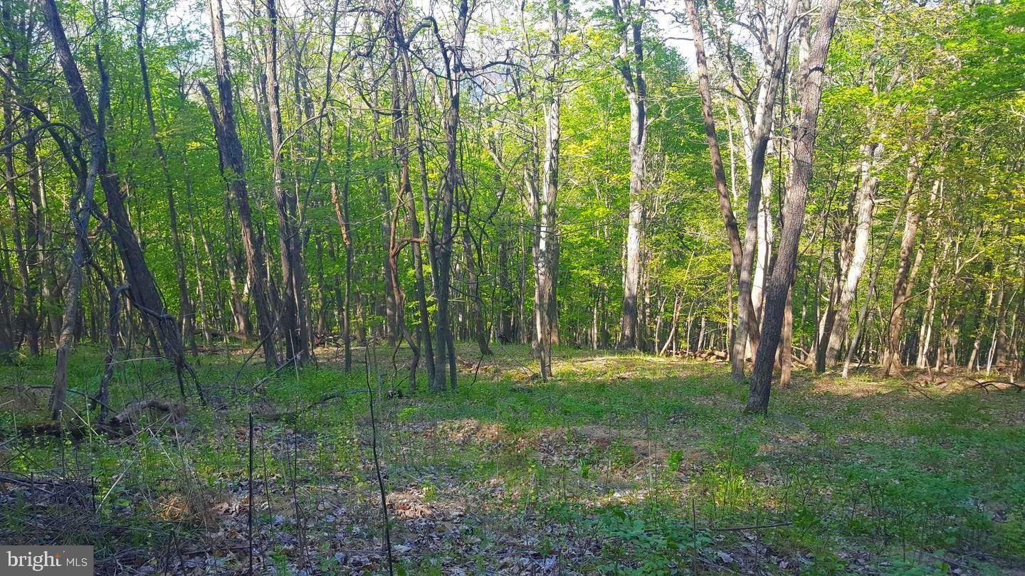High View Road, Old Fields, WV 26845 MLS WVHS2003438 LandWatch