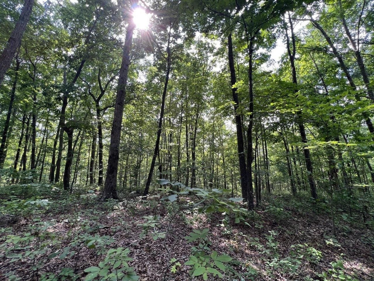 Hampshire, Lewis County, TN Recreational Property, Undeveloped Land