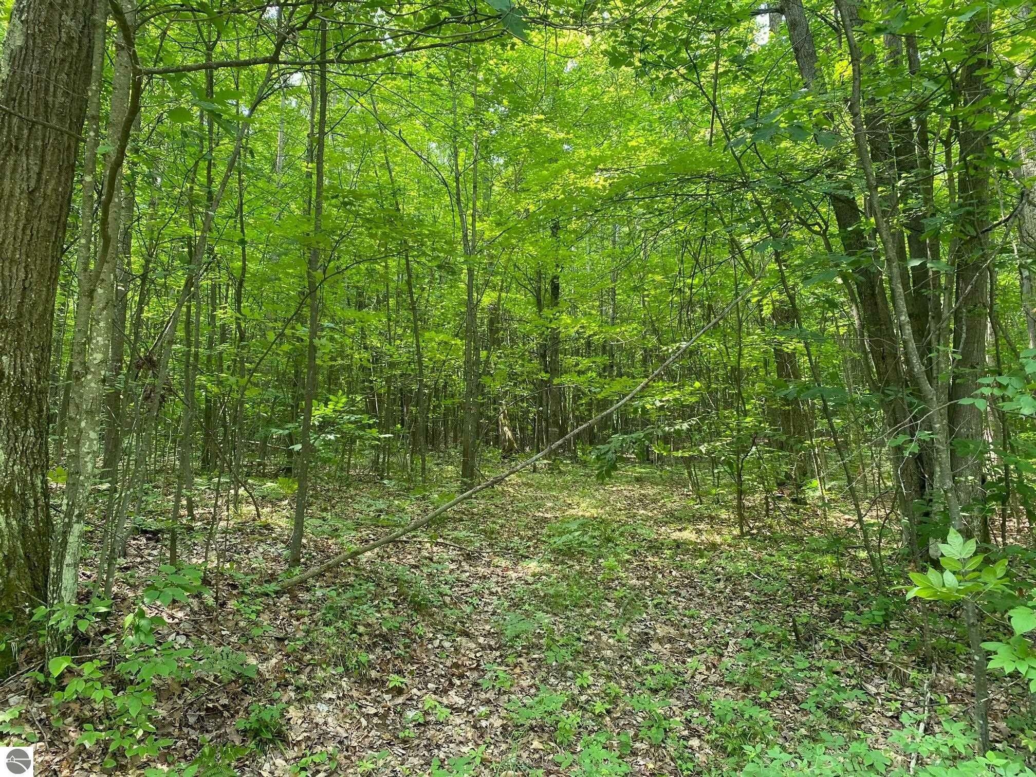 Reed City, Osceola County, MI Undeveloped Land, Homesites for sale