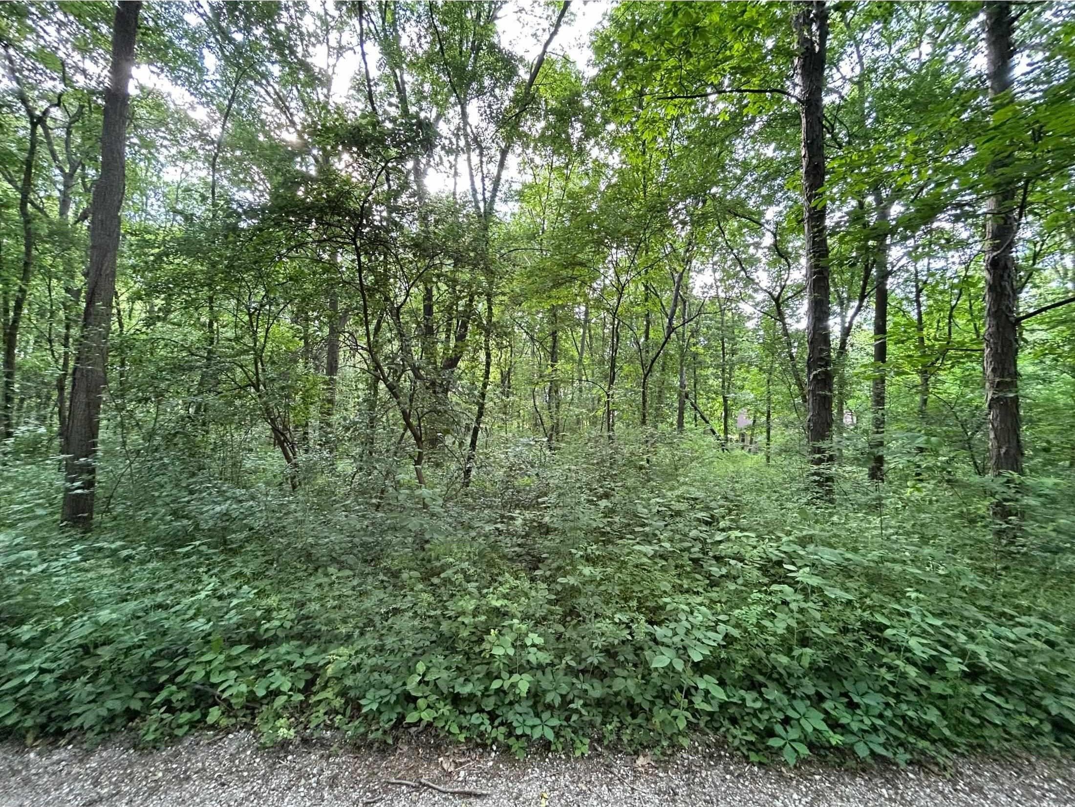 Williamsport, Warren County, IN Undeveloped Land, Homesites for sale