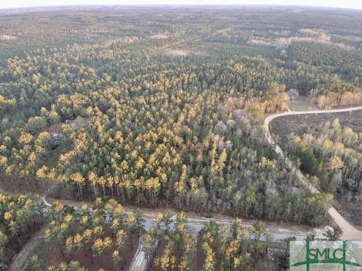 Claxton, Evans County, GA Undeveloped Land for sale Property ID