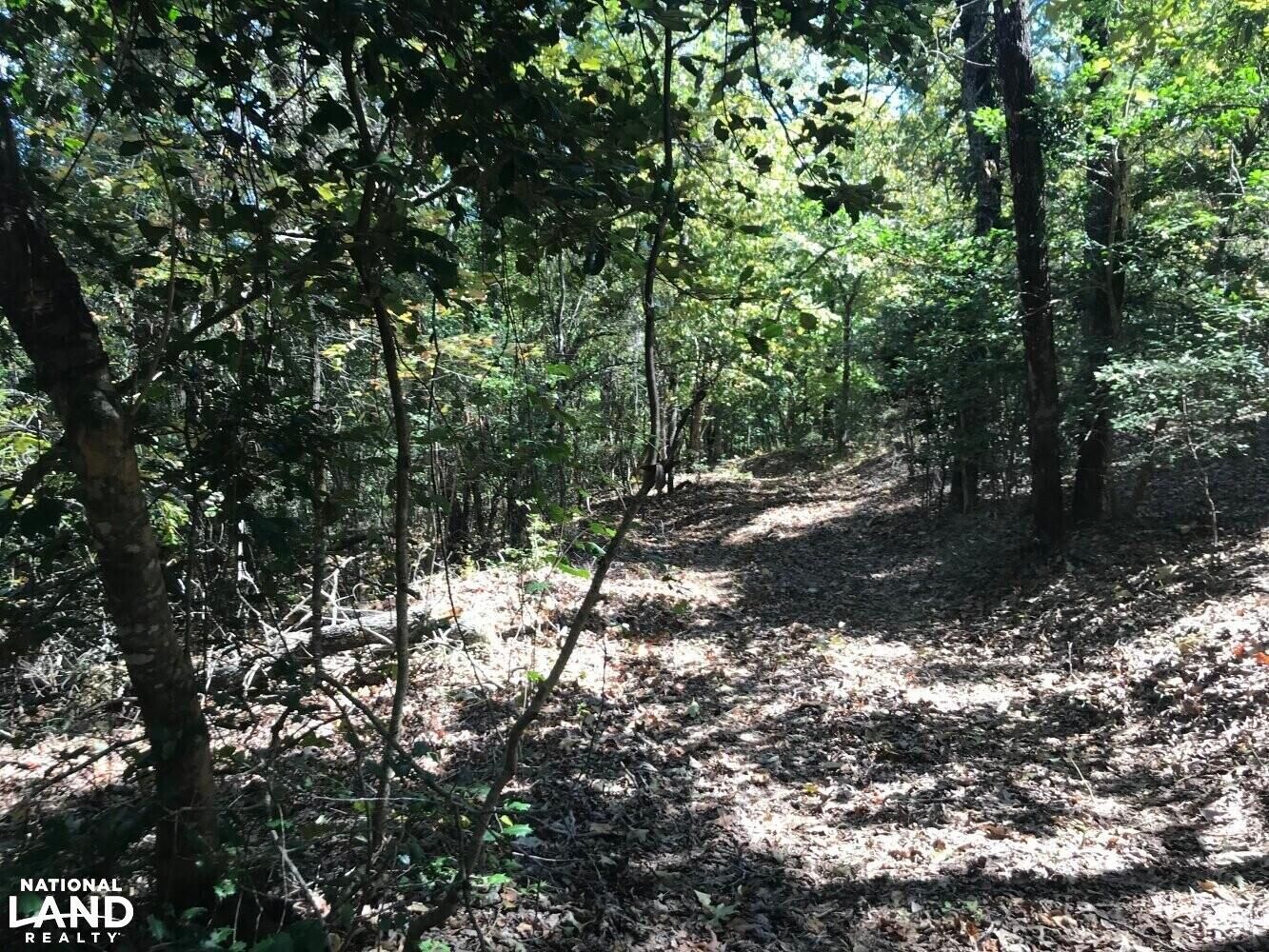 Buena Vista, Marion County, GA Recreational Property, Timberland