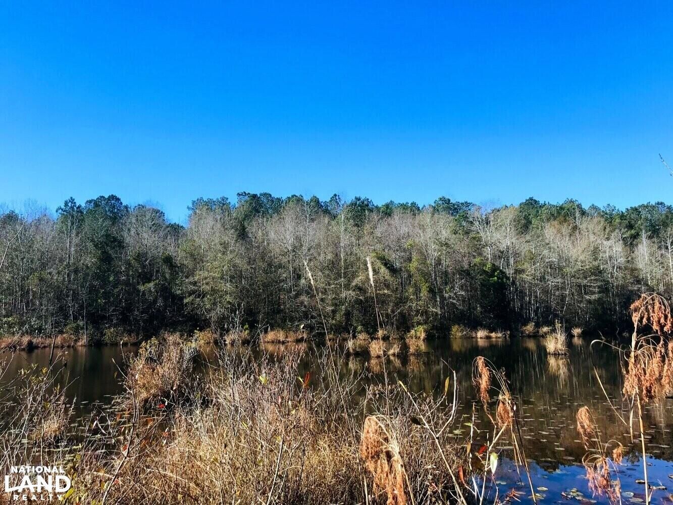 Ellaville, Schley County, GA Farms and Ranches, Hunting Property for