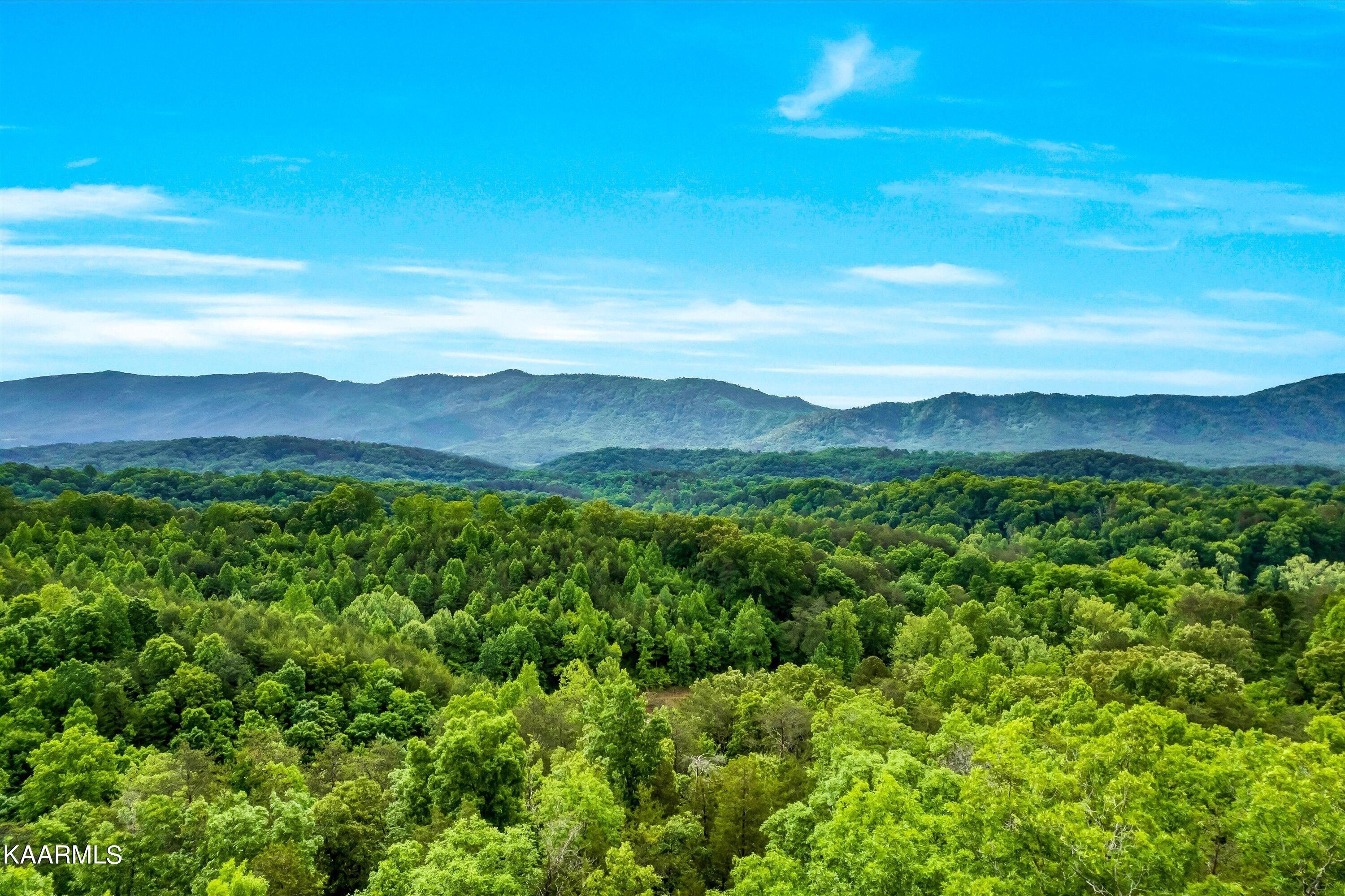 Maryville, Blount County, TN for sale Property ID 416721456 LandWatch