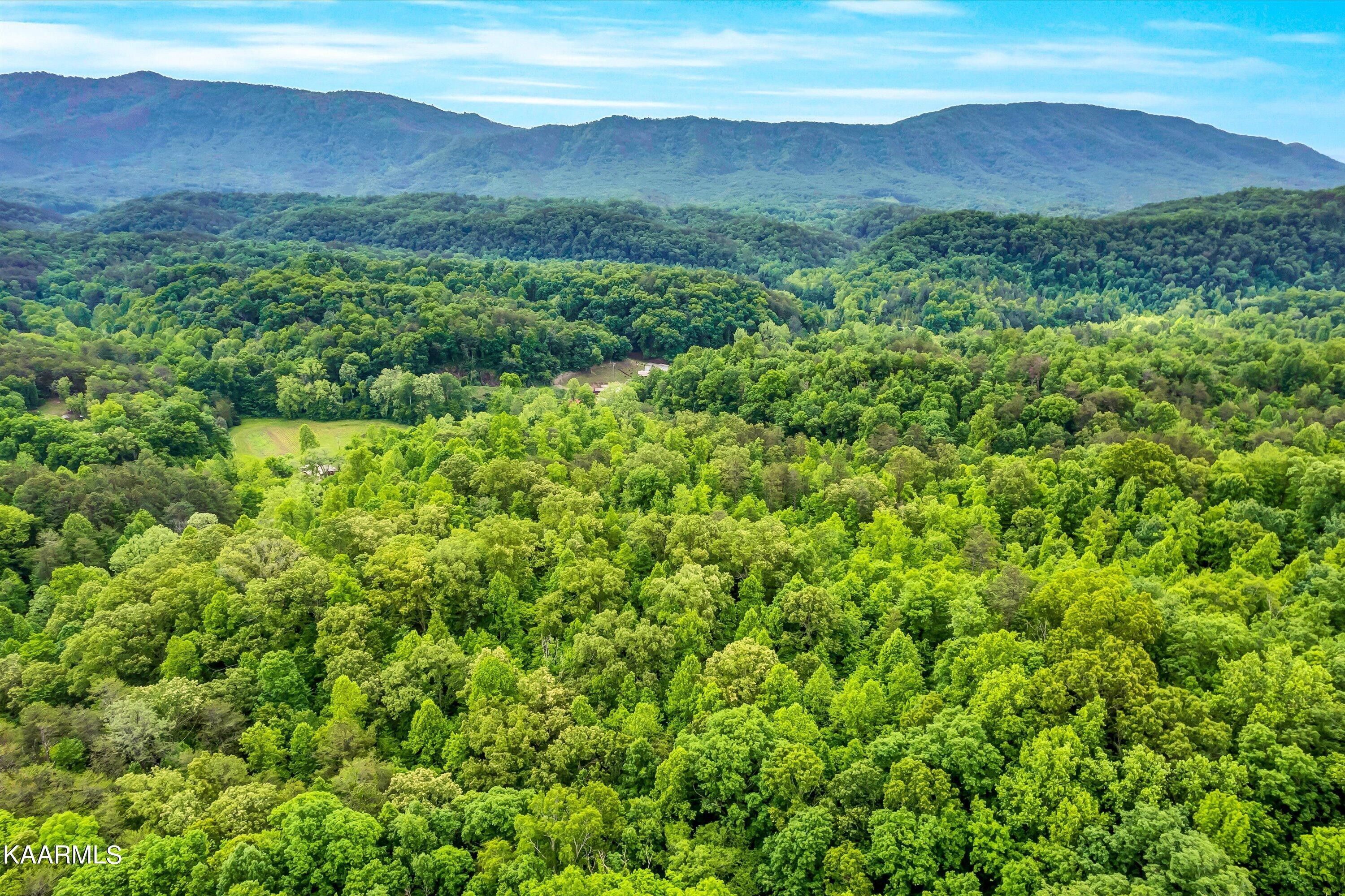 Maryville, Blount County, TN for sale Property ID 416721458 LandWatch