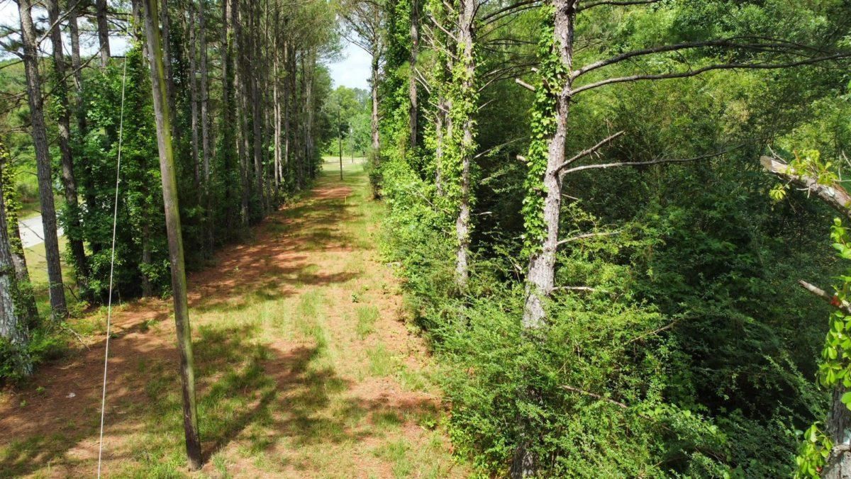 Walnut Grove, Leake County, MS Recreational Property, Timberland