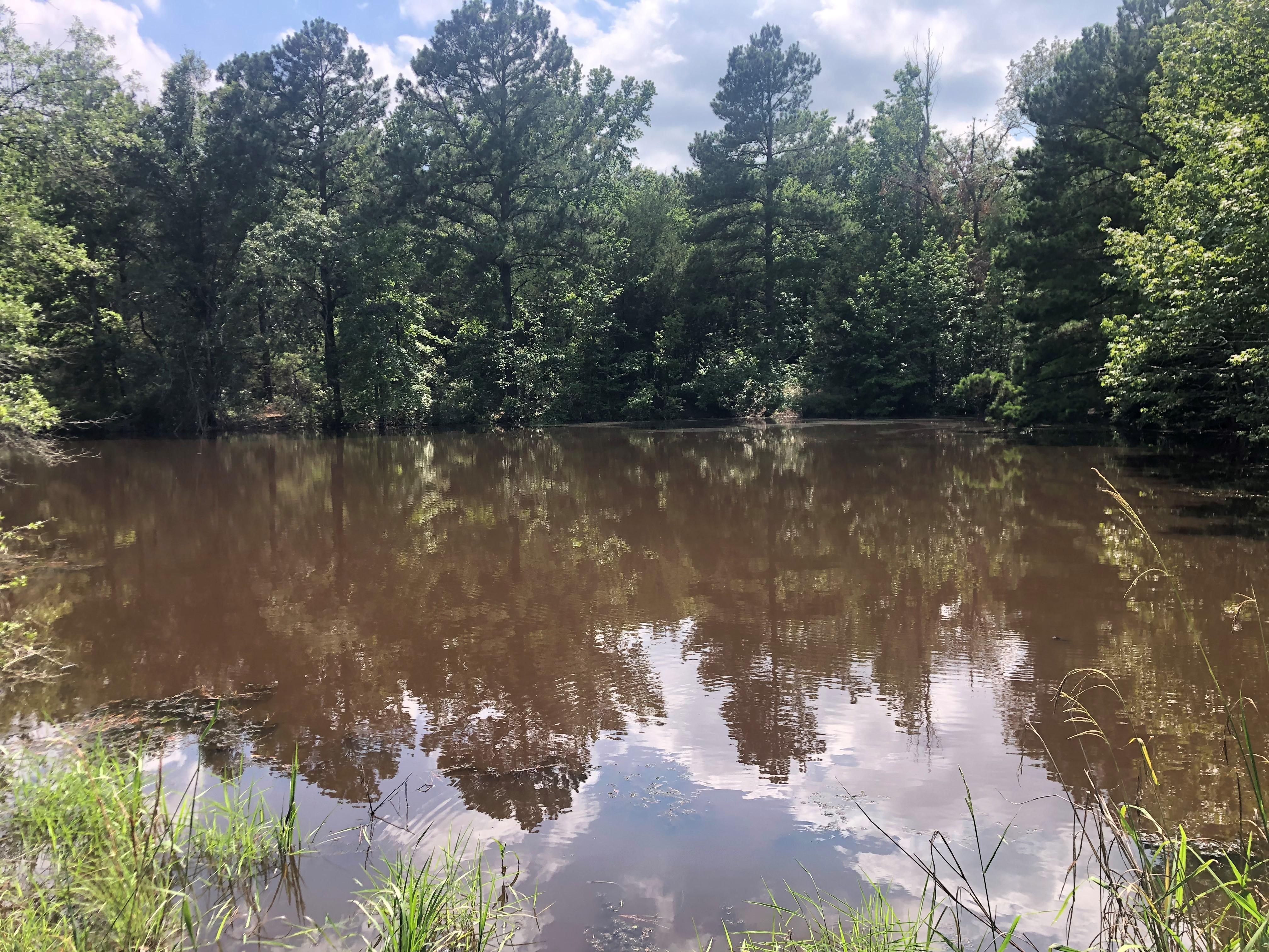 Oakwood, Freestone County, TX Recreational Property, Hunting Property