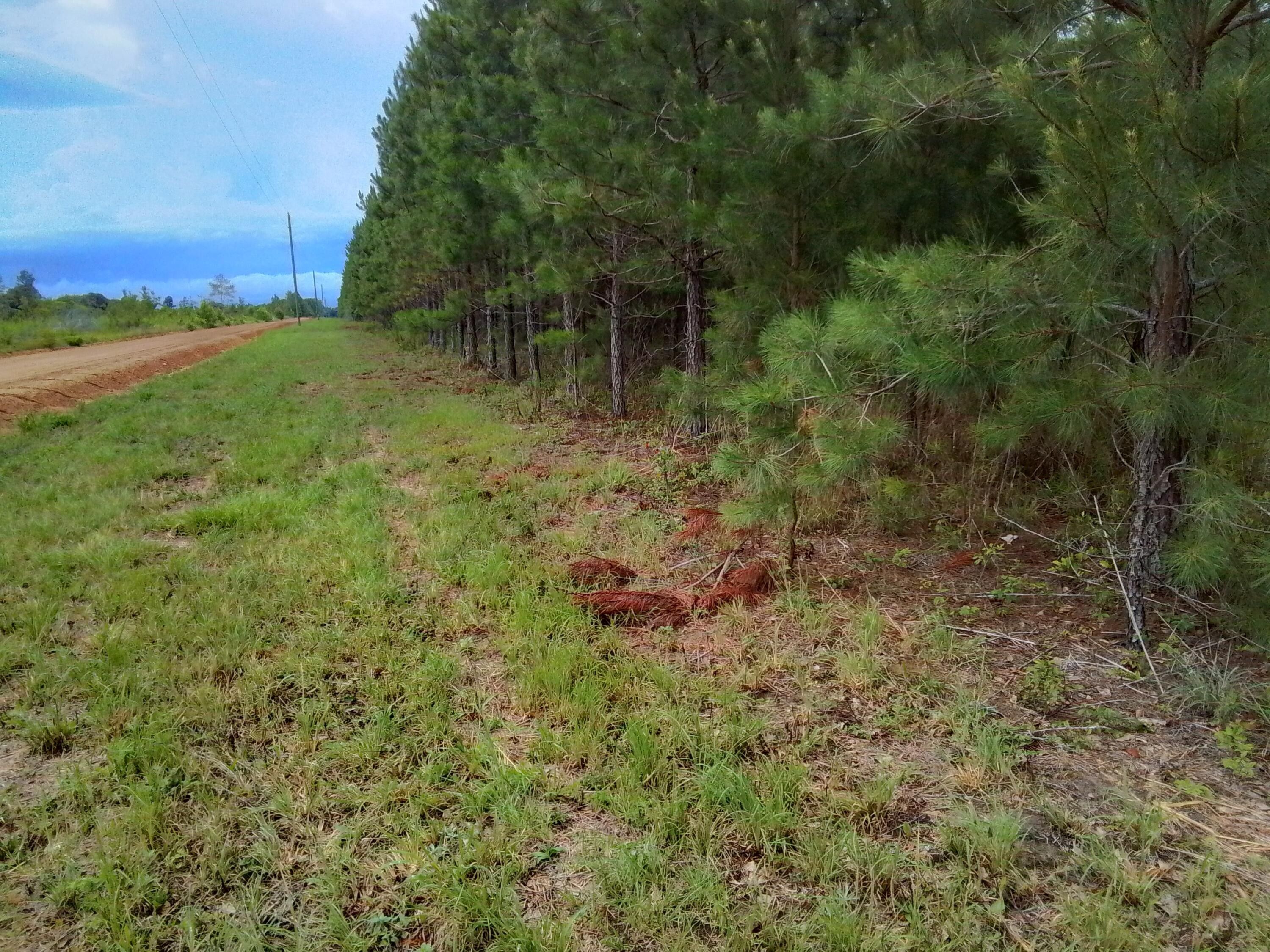 Norway, Orangeburg County, SC Farms and Ranches for sale Property ID