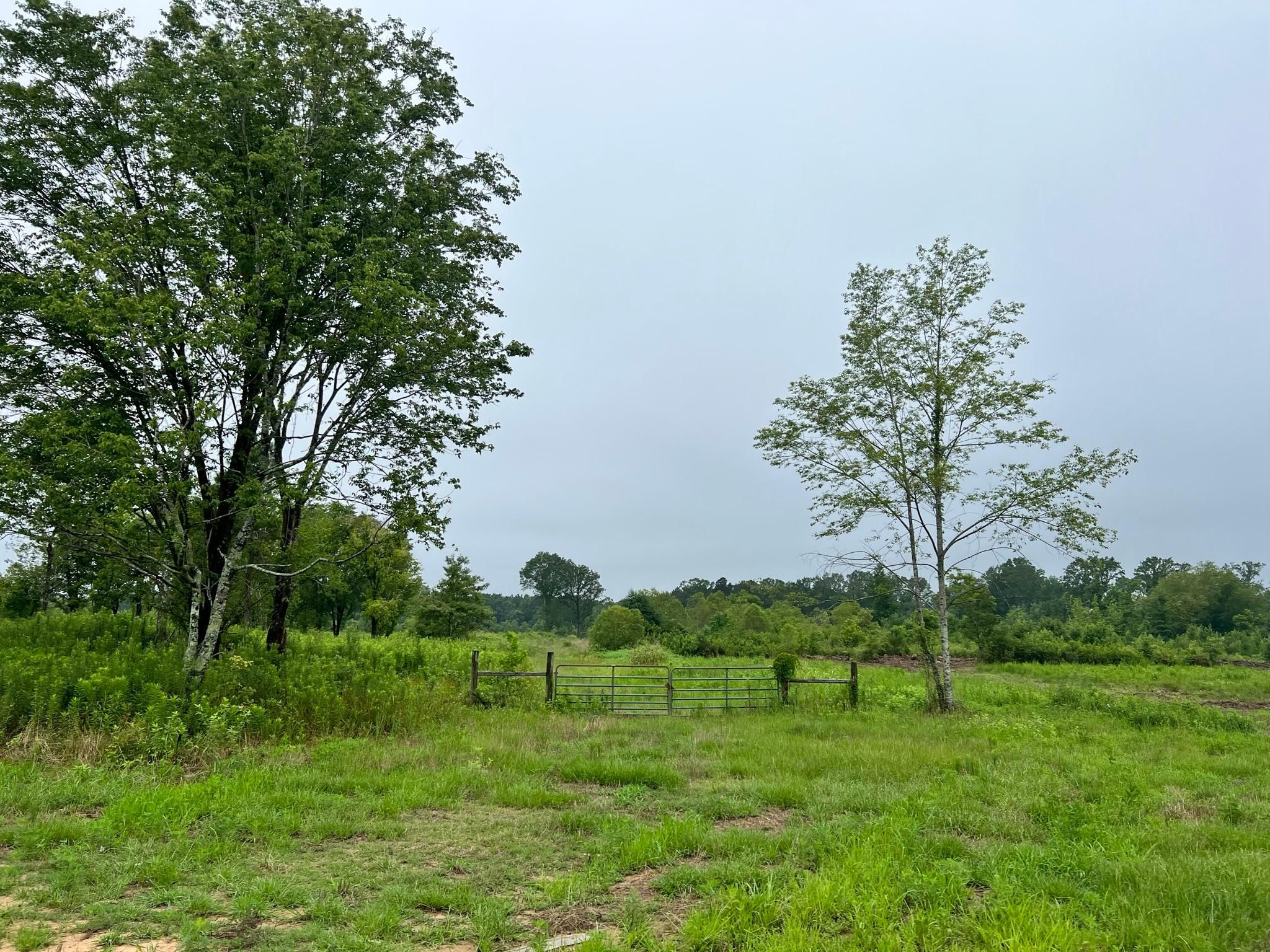 Forest, Scott County, MS Recreational Property, Undeveloped Land for