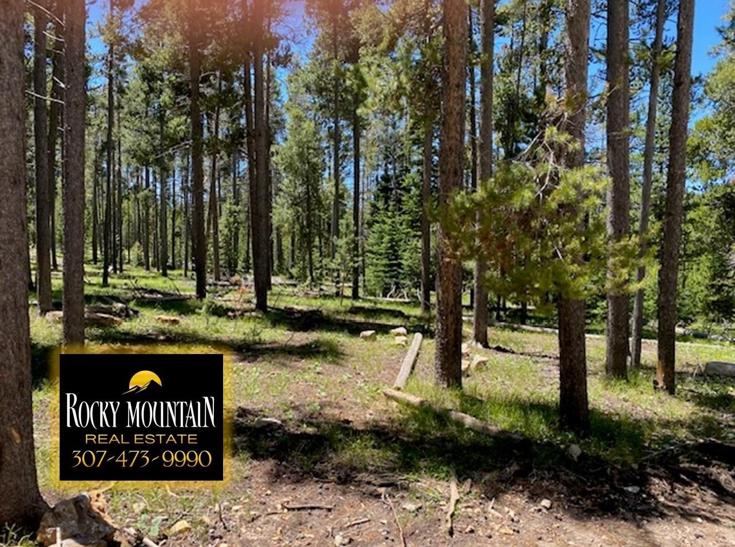 Casper Mountain, Natrona County, WY Recreational Property, Undeveloped