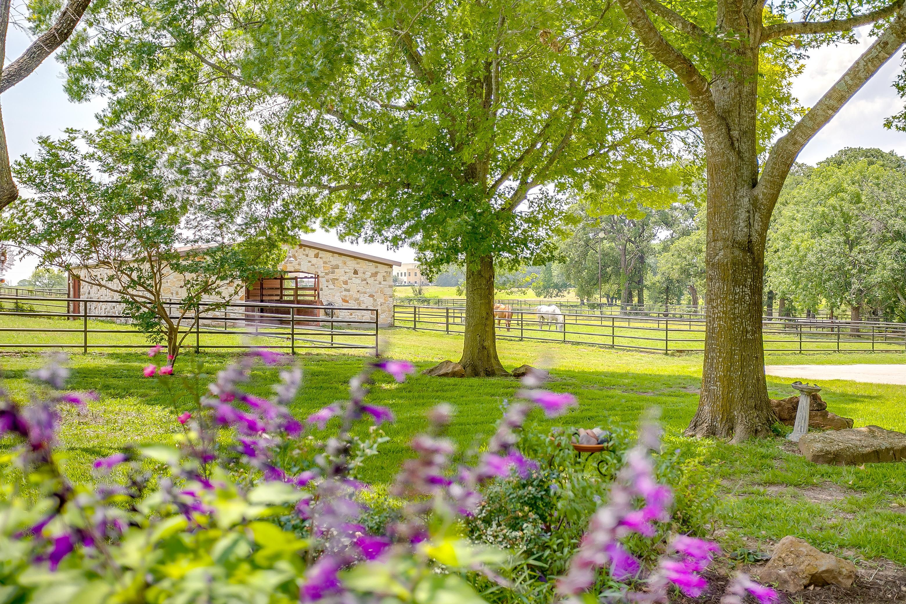 Weatherford, Parker County, TX Horse Property, House for sale Property