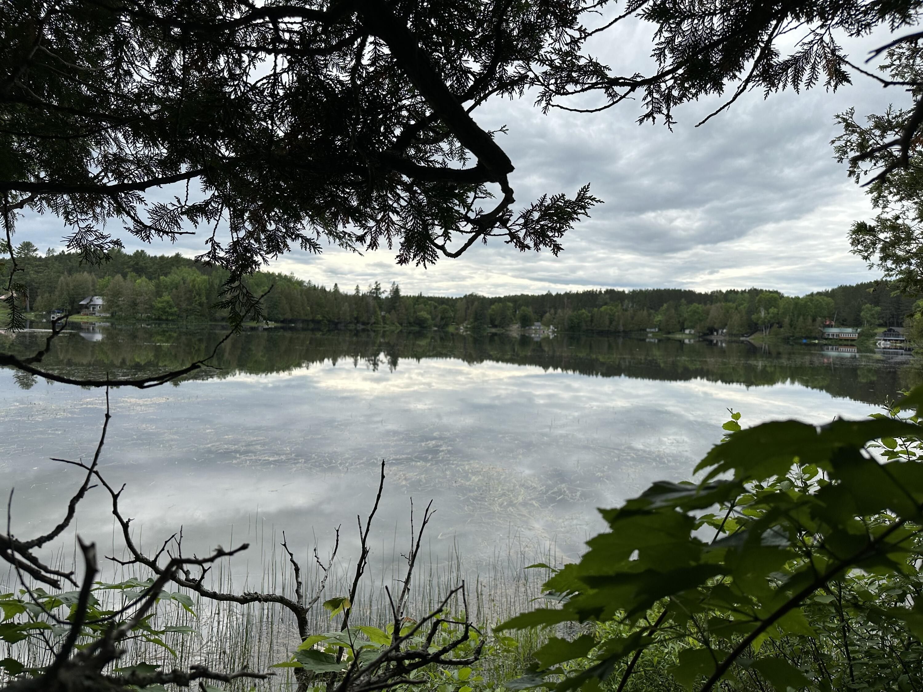 Monticello, Aroostook County, ME Undeveloped Land, Lakefront Property