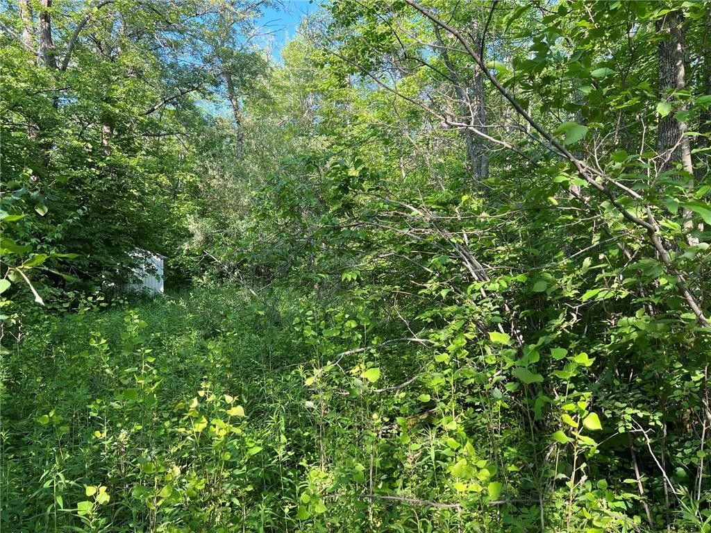 Isle, Mille Lacs County, MN Farms and Ranches, Homesites for sale