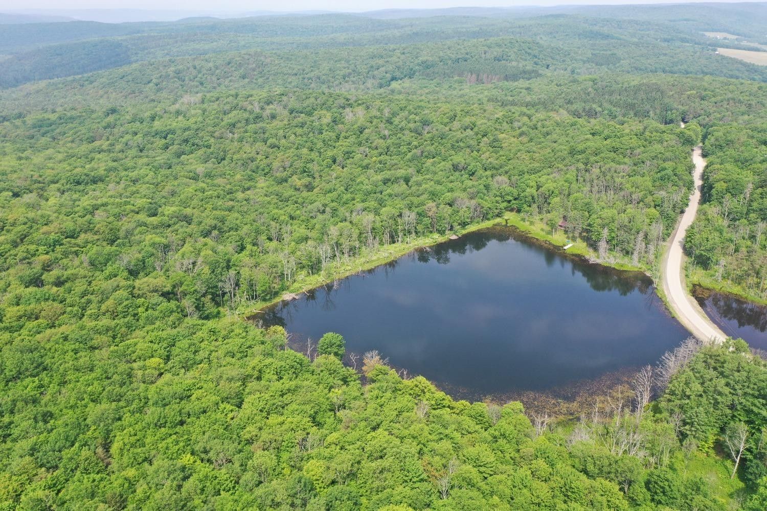 Richford, Tioga County, NY Undeveloped Land for sale Property ID