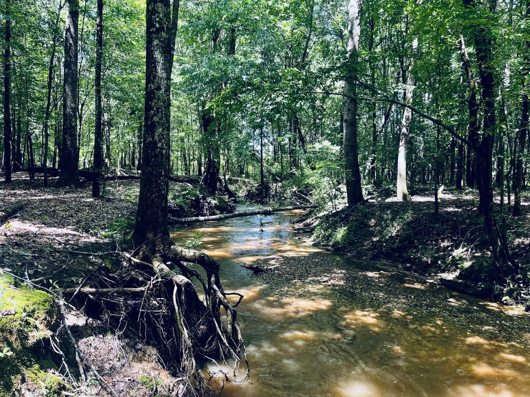 New Site, Prentiss County, MS Farms and Ranches, Hunting Property for