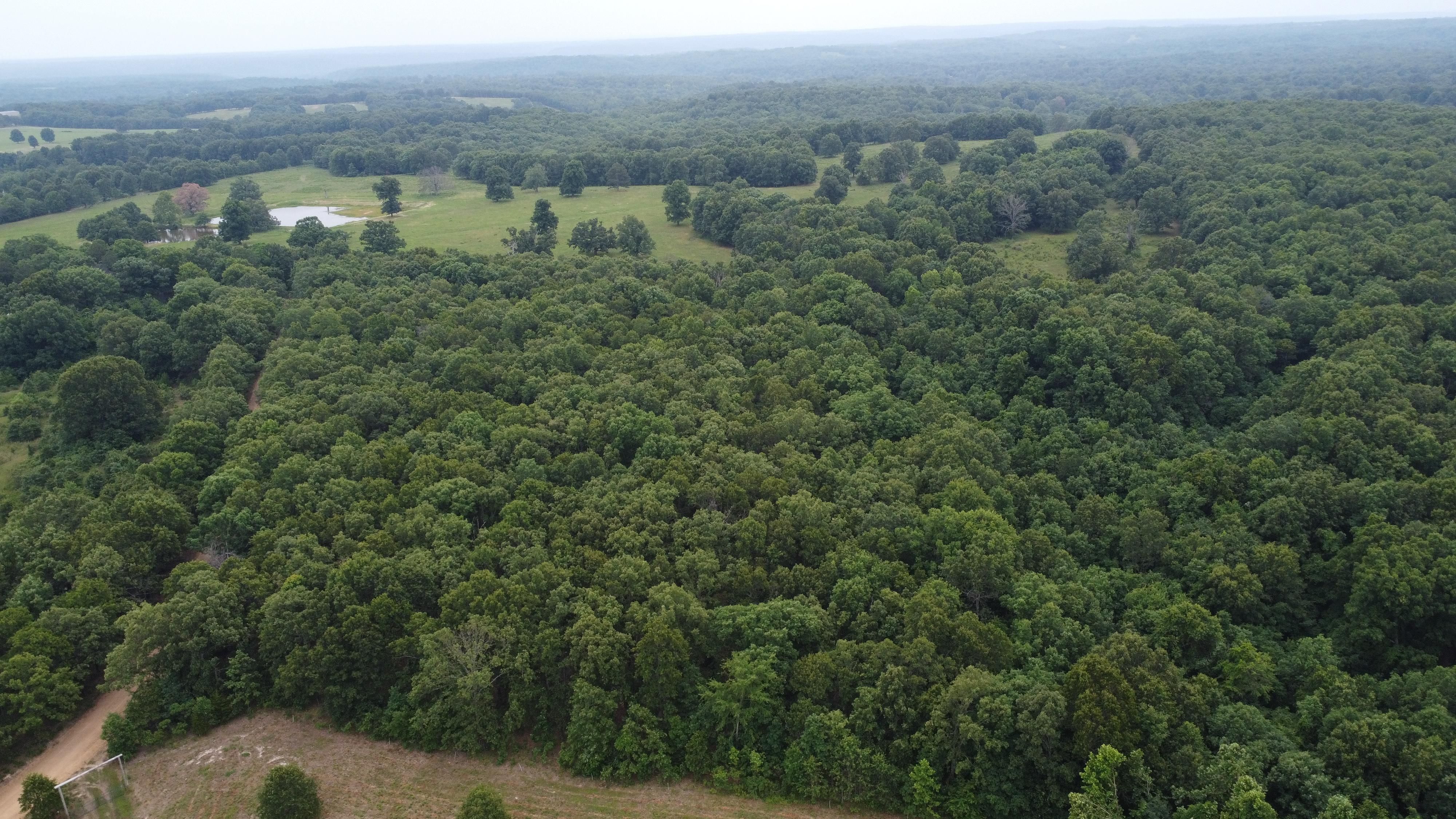 Tahlequah, Cherokee County, OK Timberland Property, Undeveloped Land