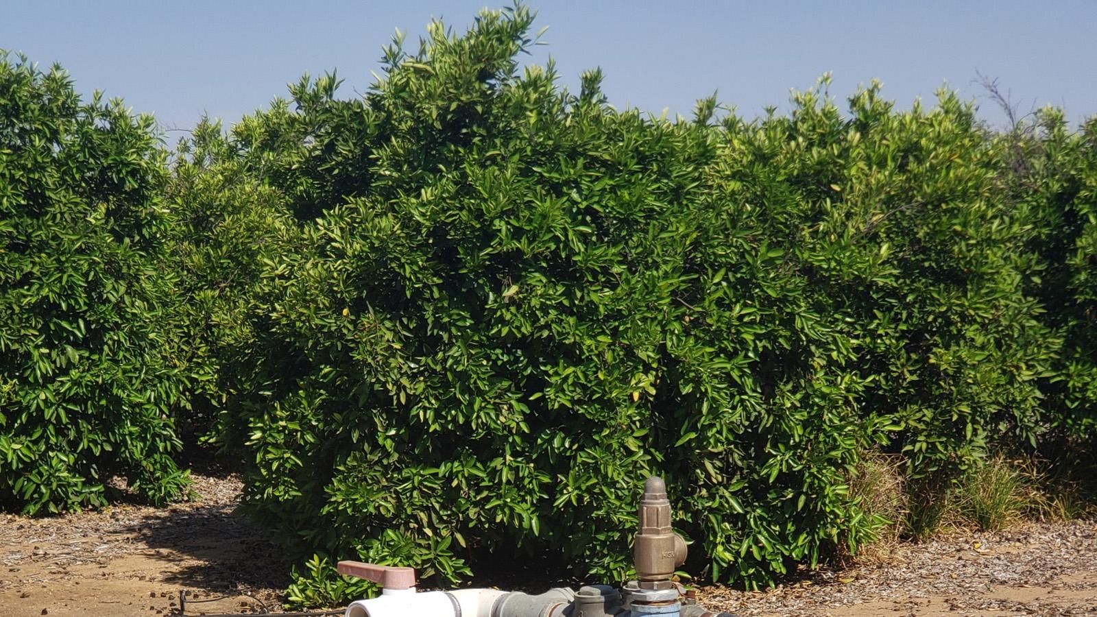 Orange Cove, Fresno County, CA Farms and Ranches for sale Property ID