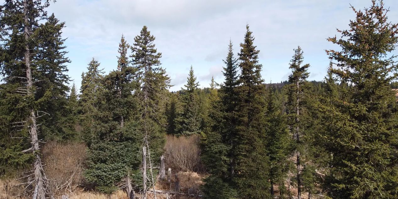 500 Westwood Ave, Homer, AK 99603 MLS 23670 LandWatch