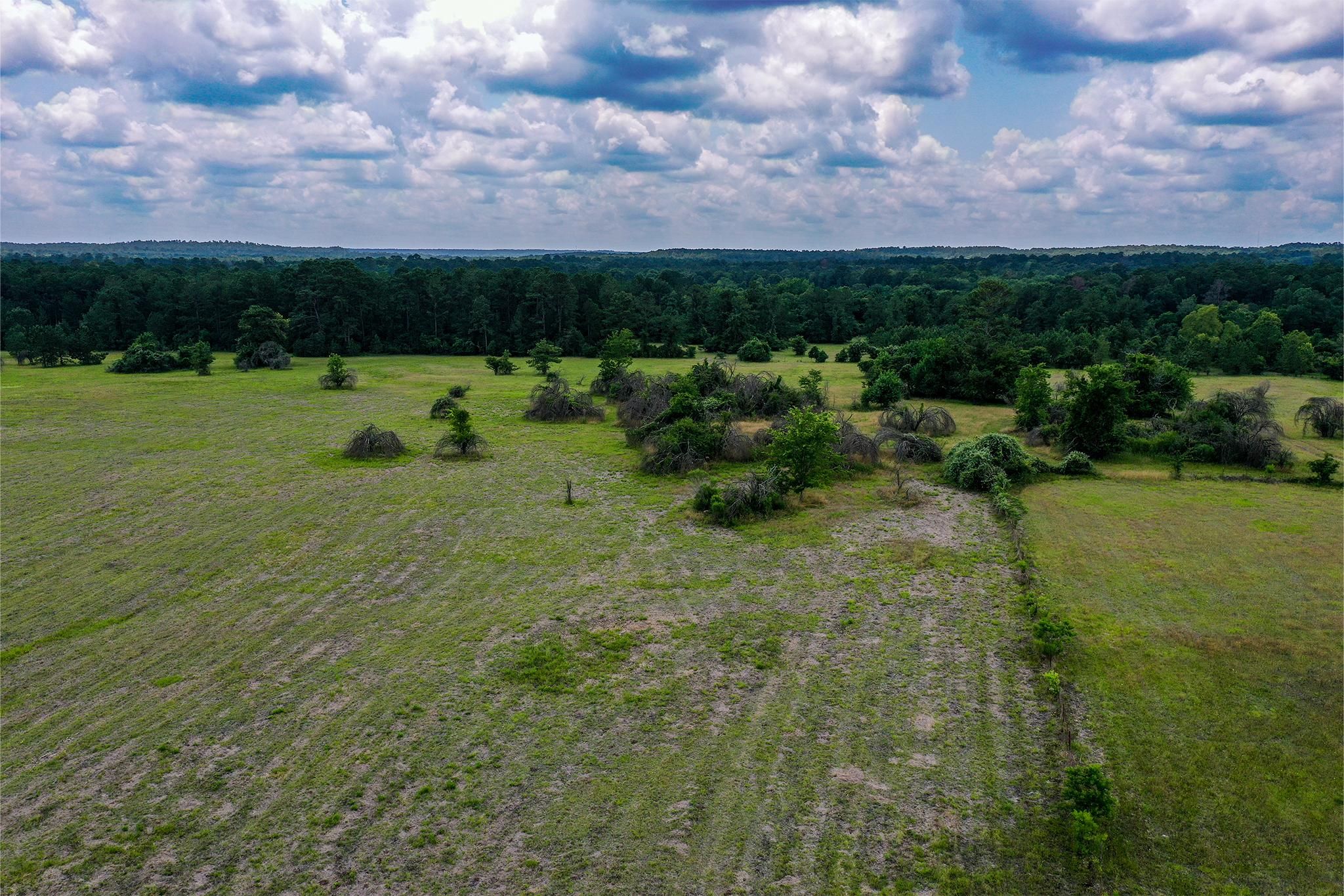 Huntsville, Walker County, TX Farms and Ranches, Hunting Property for