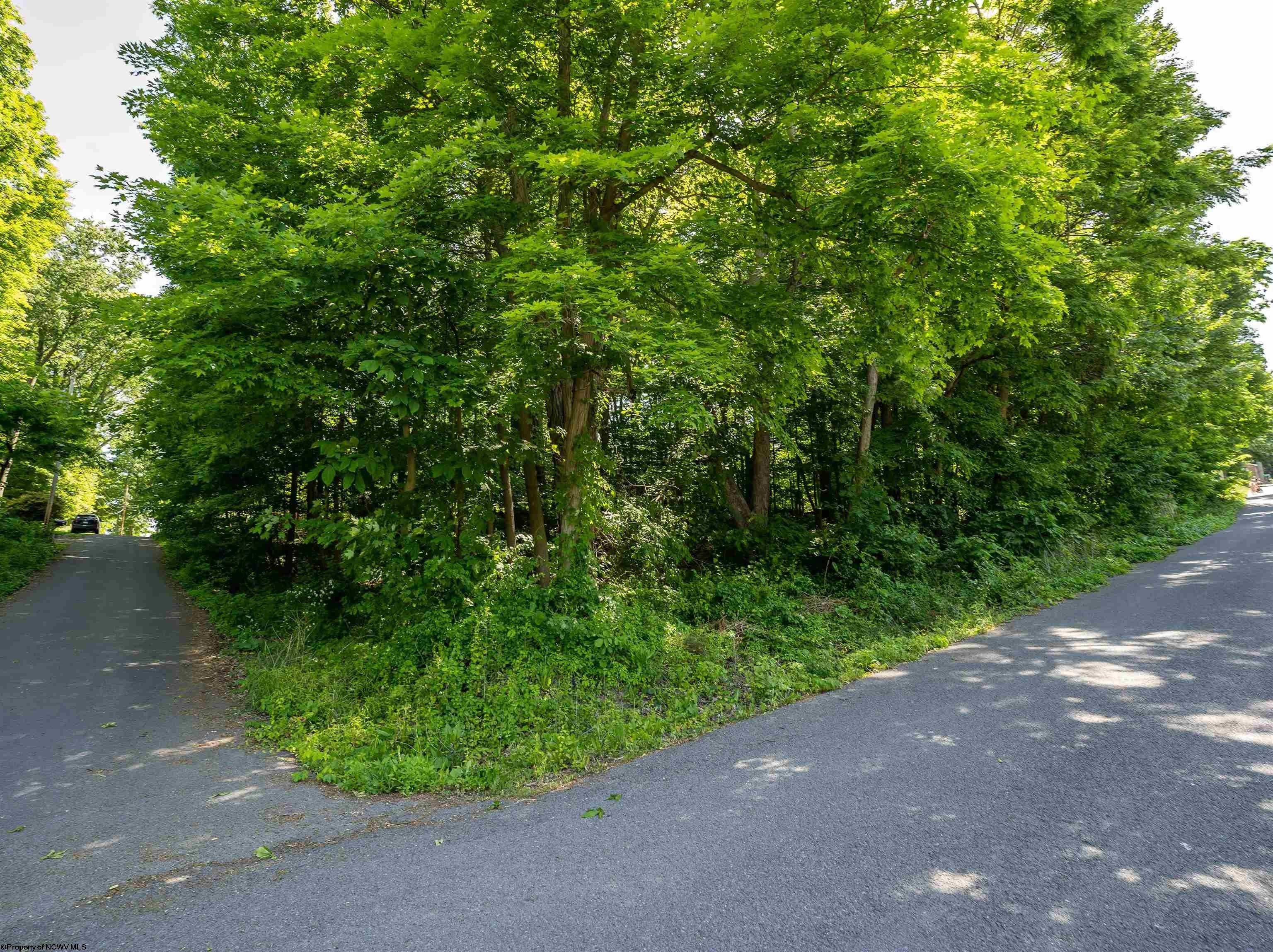 Monongalia County, WV Farms and Ranches, Homesites for sale Property ID 416727124
