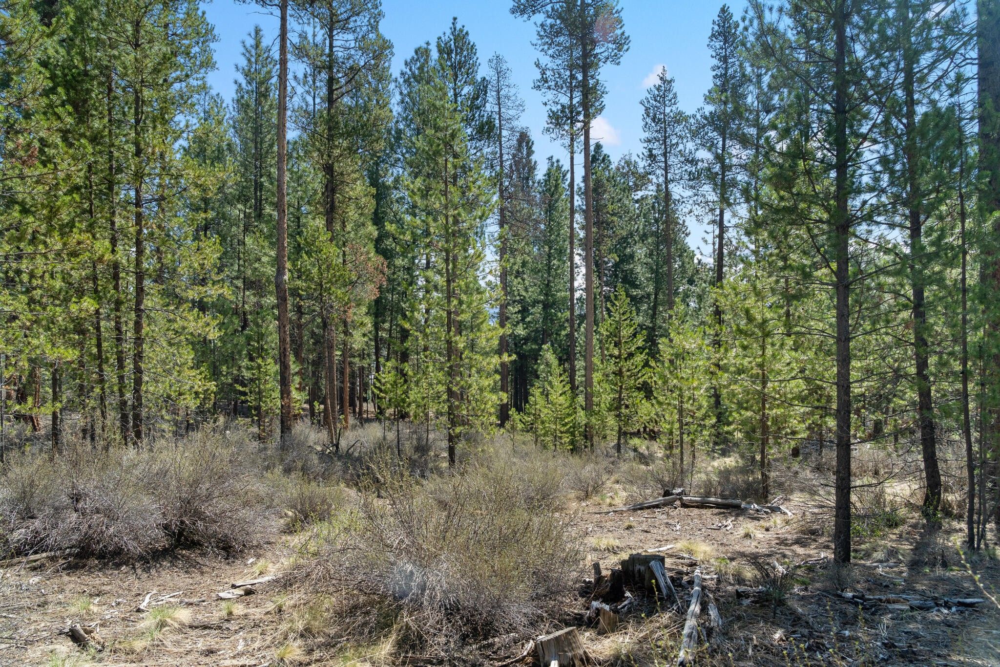 La Pine, Deschutes County, OR Undeveloped Land, Homesites for sale