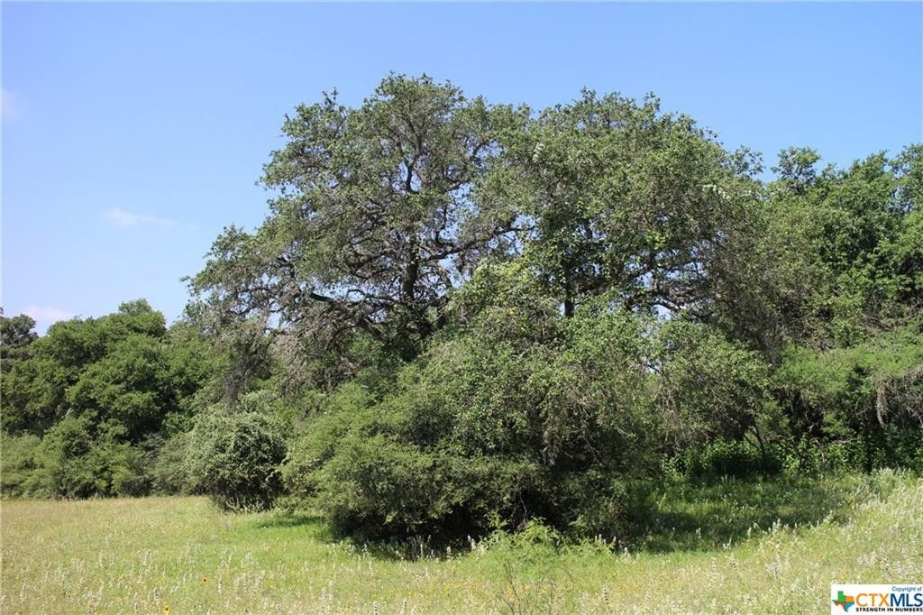 Meyersville, Dewitt County, TX Farms and Ranches for sale Property ID 416730109 LandWatch