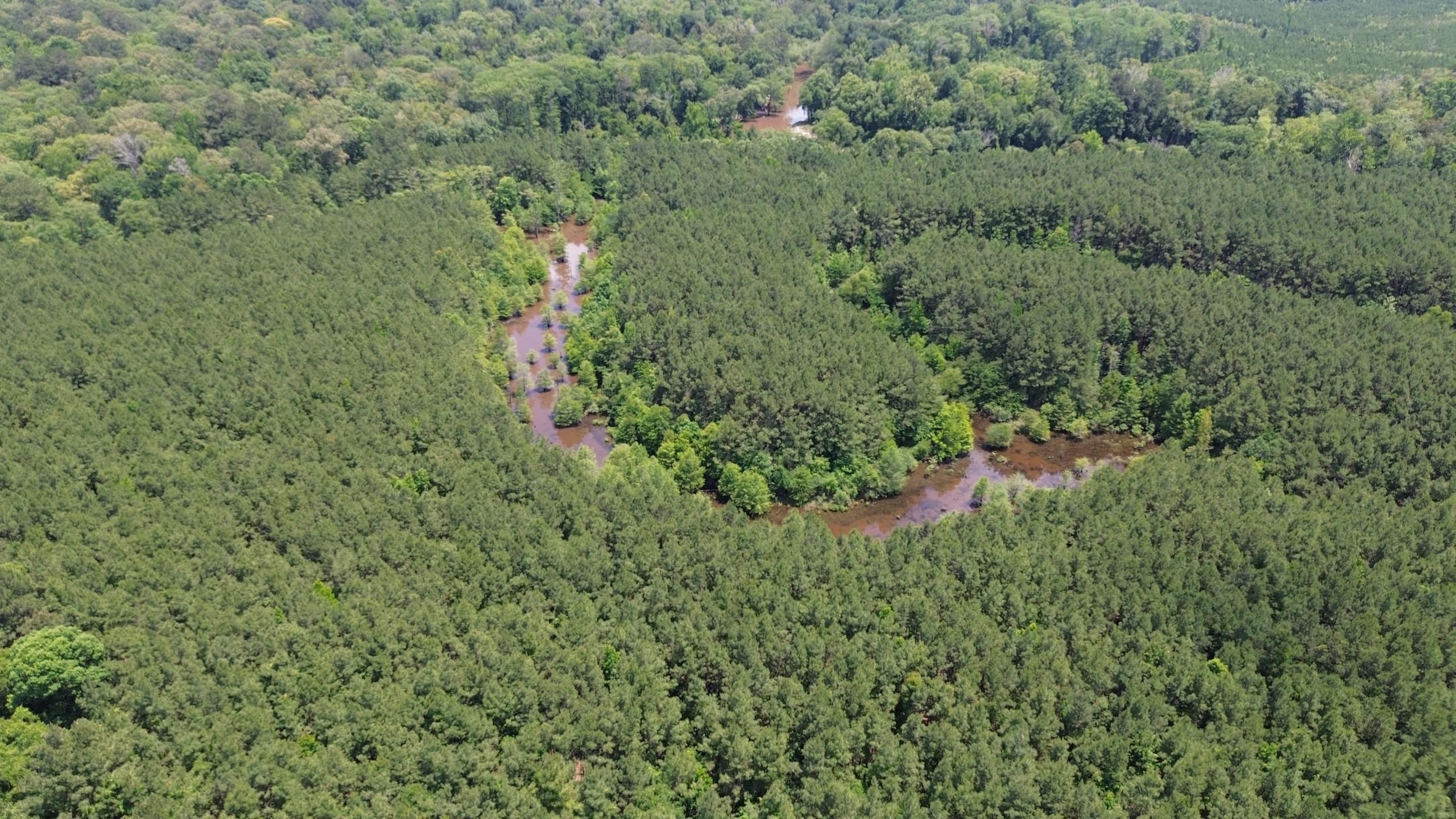 Tullos, Winn Parish, LA Recreational Property, Timberland Property, Hunting Property for sale